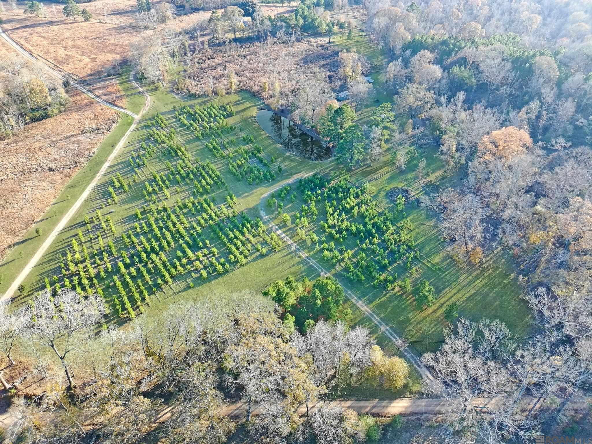 1558 Tommy Whitaker Rd, St Francisville, LA, 70775