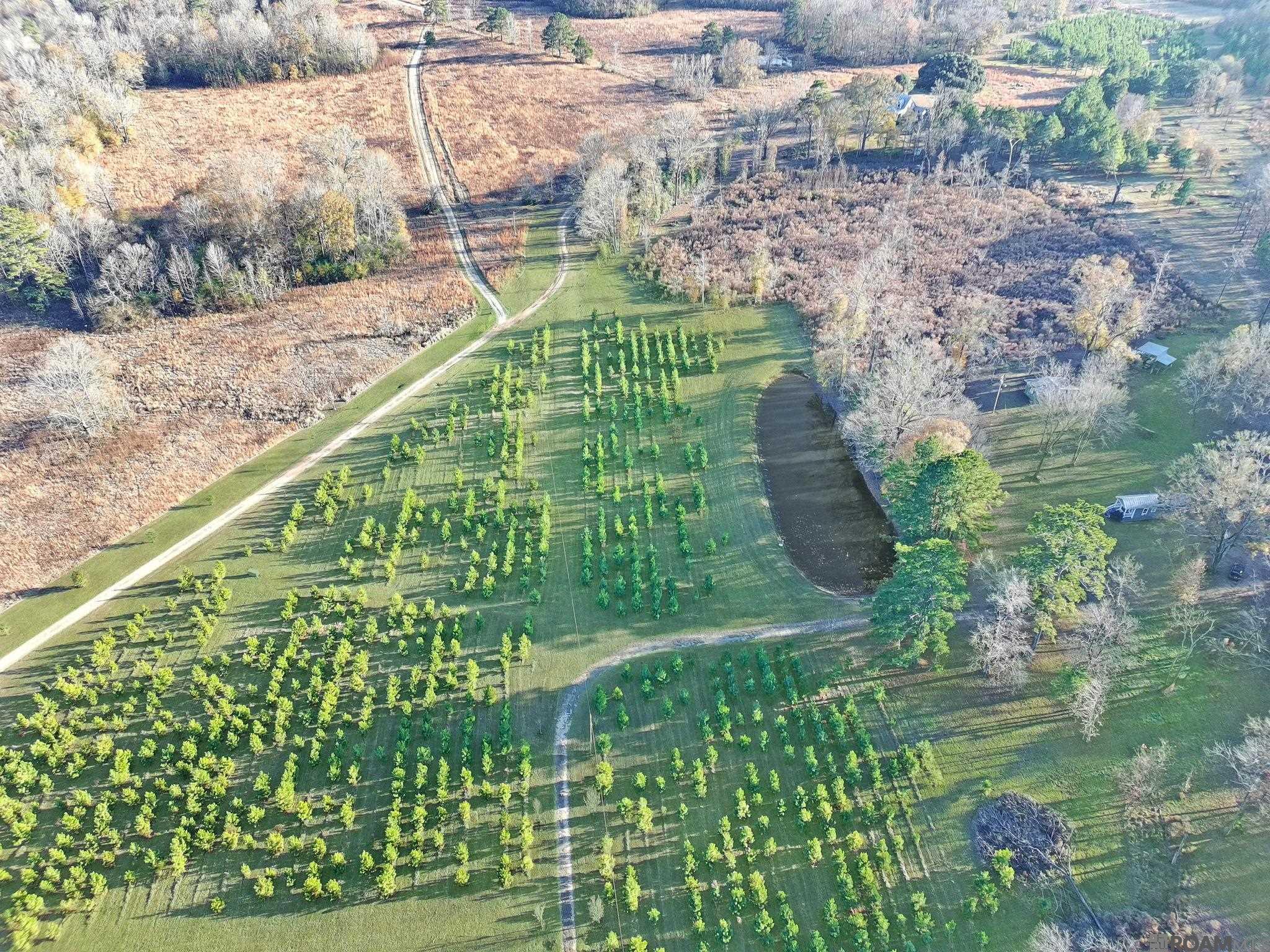 1558 Tommy Whitaker Rd, St Francisville, LA, 70775