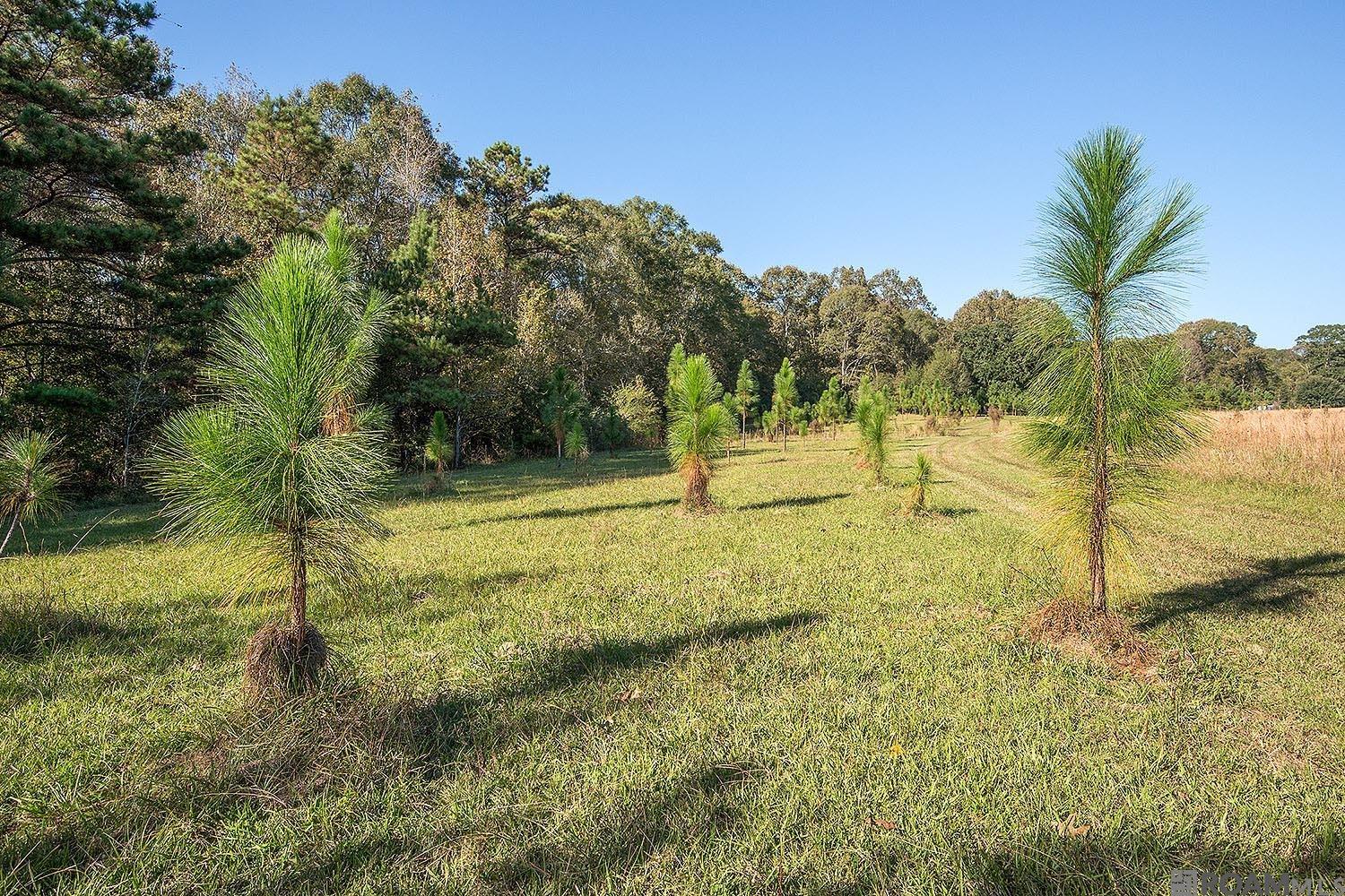 1558 Tommy Whitaker Rd, St Francisville, LA, 70775