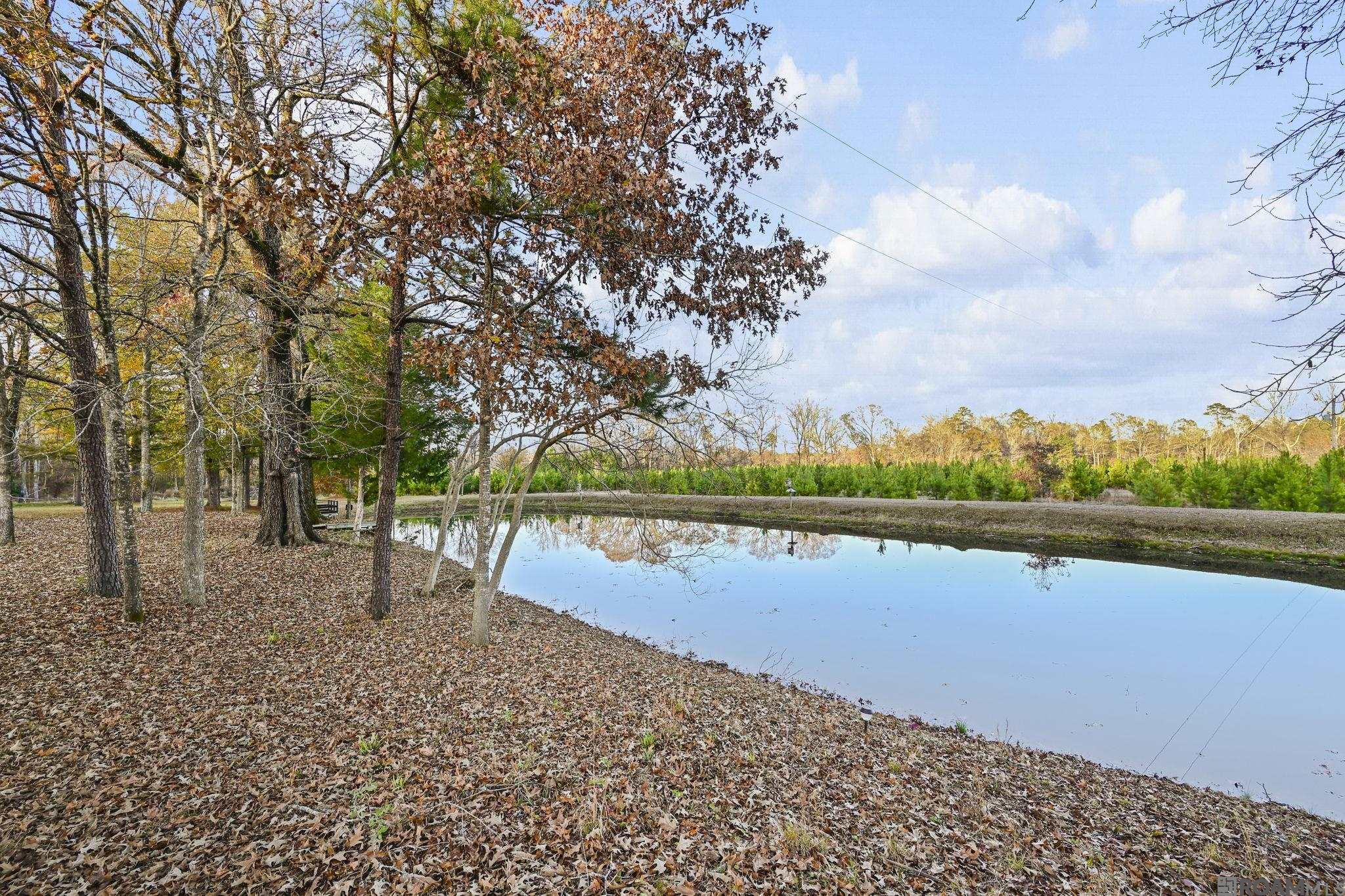 1558 Tommy Whitaker Rd, St Francisville, LA, 70775