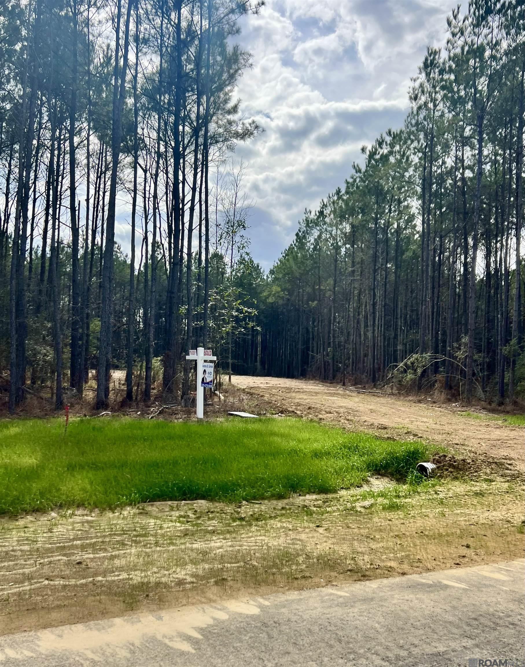 Lot 5 Honey Grove, Livingston, LA, 70754