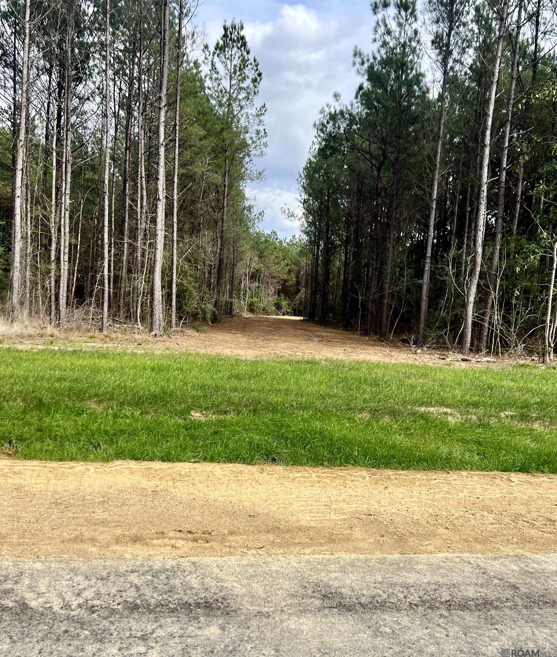 Lot 5 Honey Grove, Livingston, LA, 70754