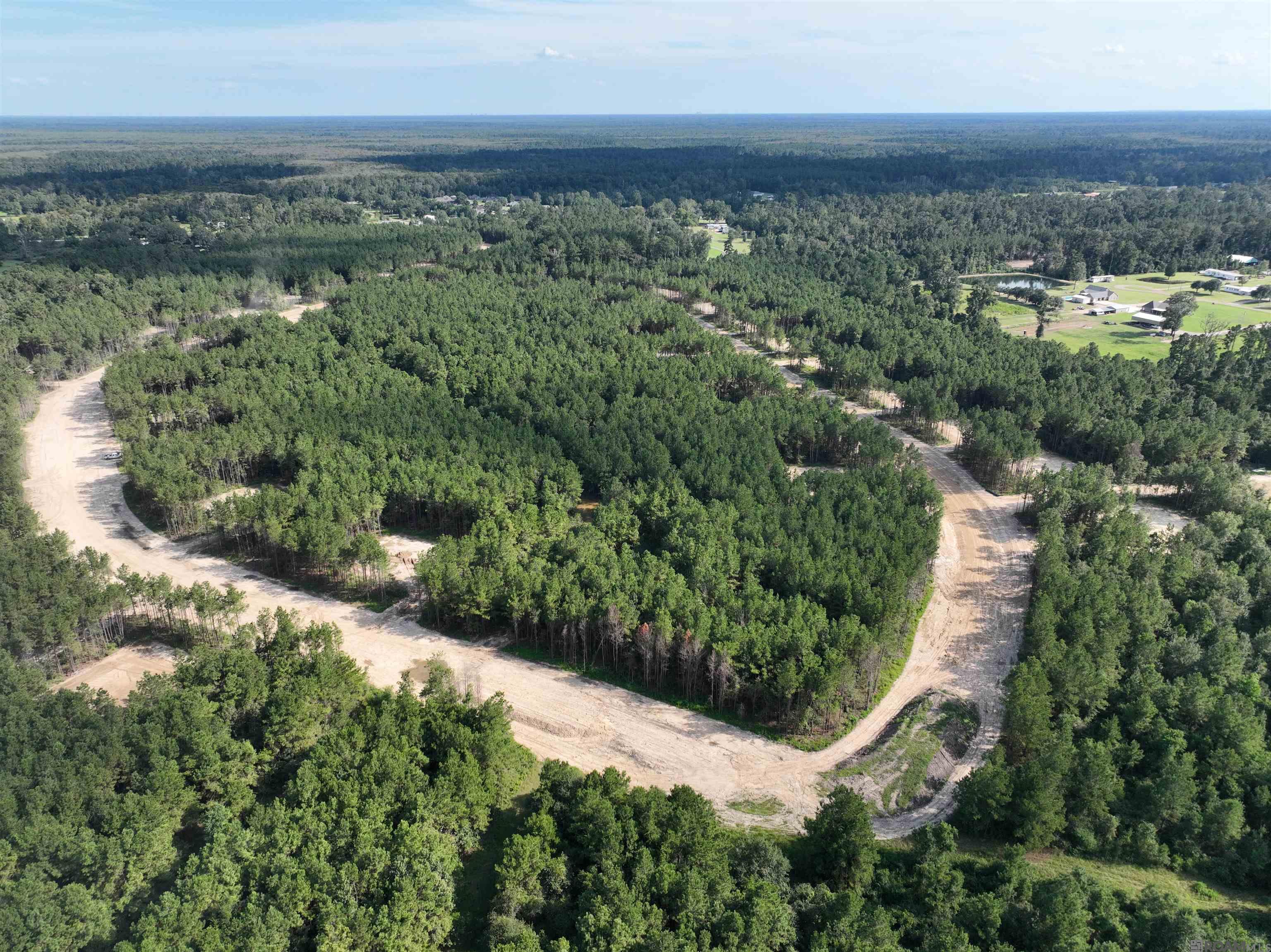 Lot 5 Honey Grove, Livingston, LA, 70754