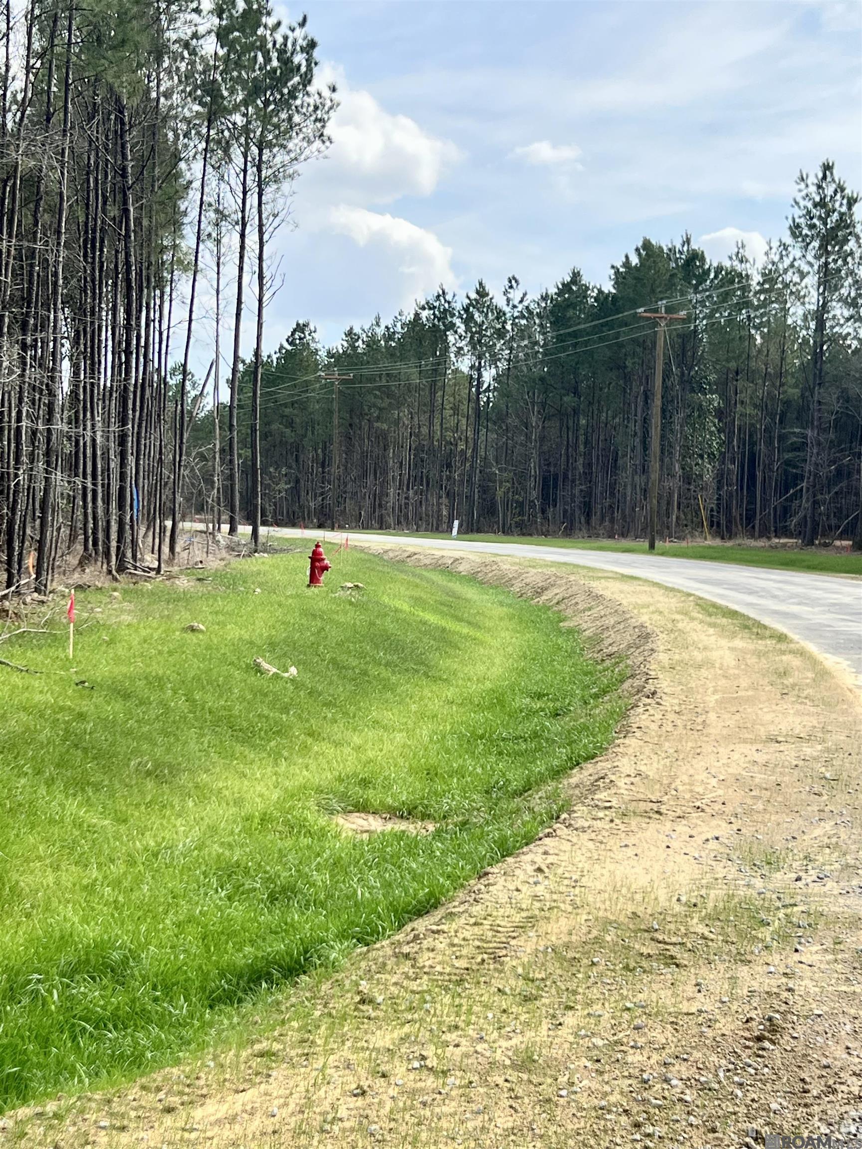 Lot 5 Honey Grove, Livingston, LA, 70754