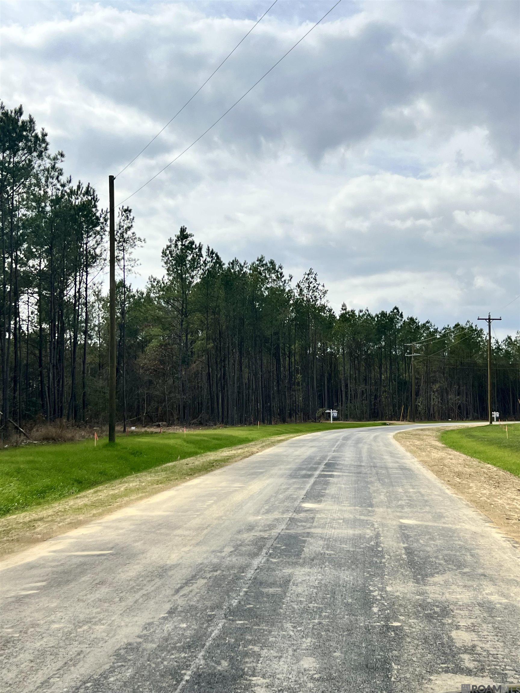Lot 5 Honey Grove, Livingston, LA, 70754