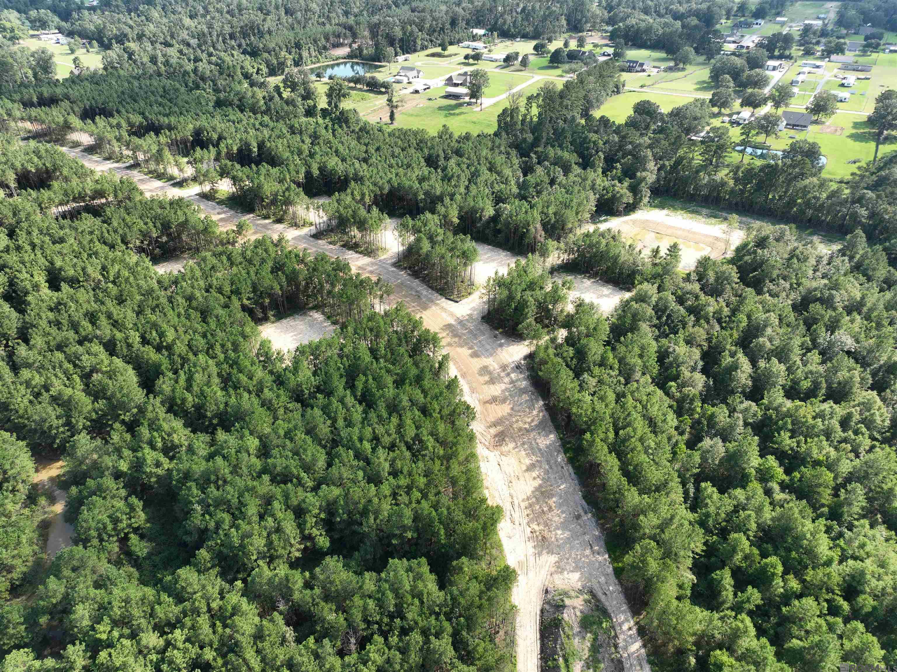 Lot 8 Honey Grove, Livingston, LA, 70754