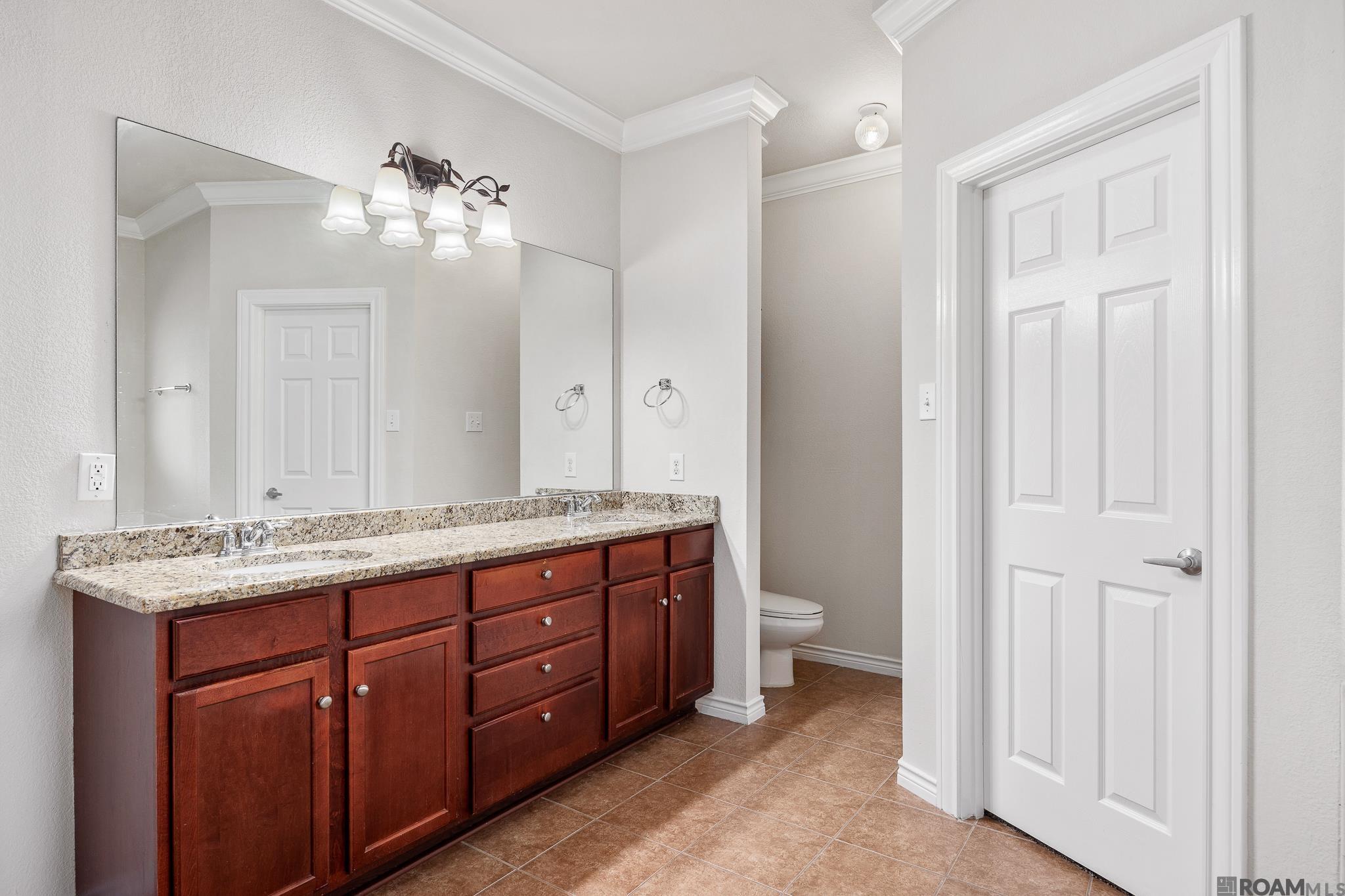 37420 Cypress Trace Ave, Geismar, LA, 70734