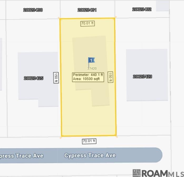 37420 Cypress Trace Ave, Geismar, LA, 70734