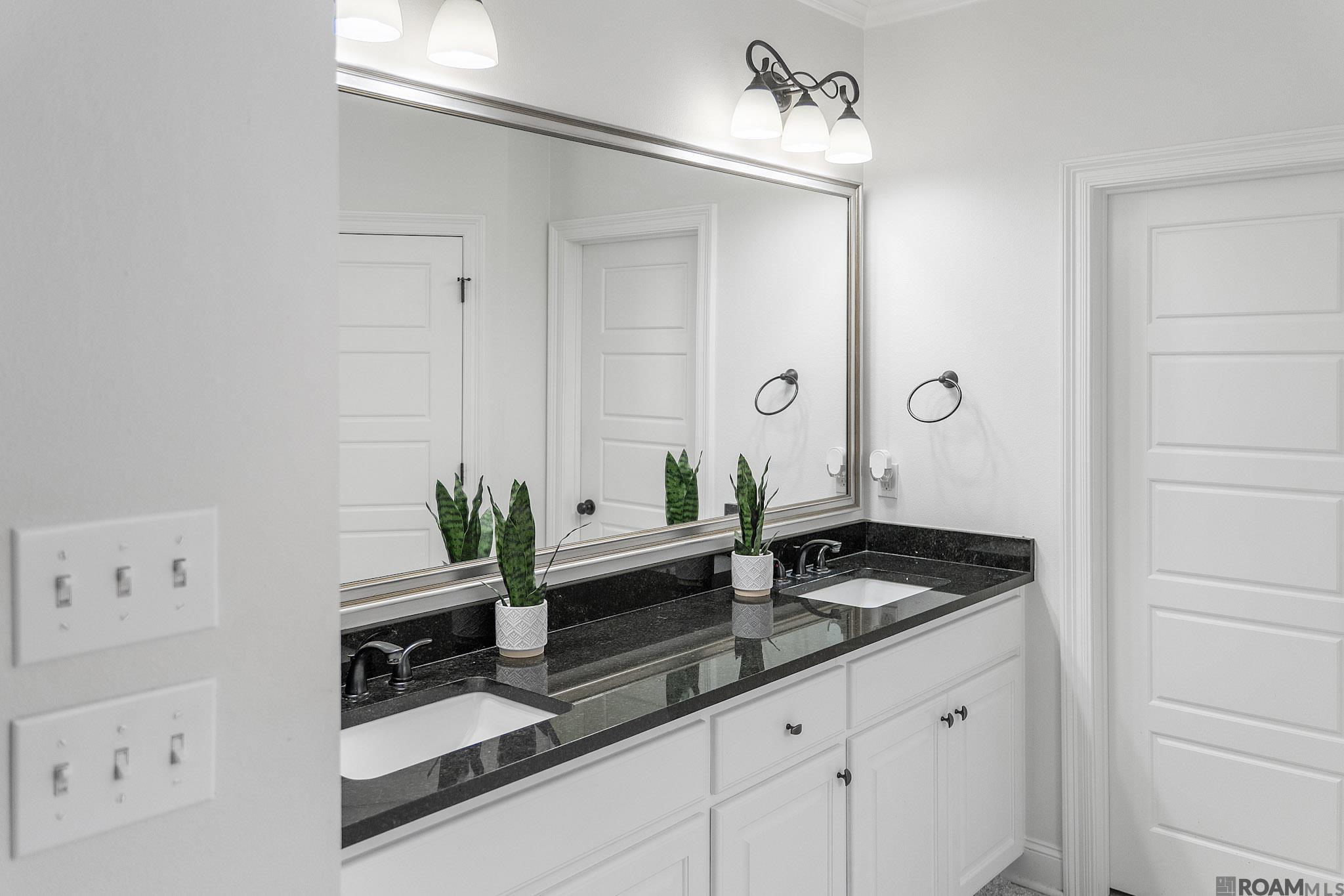 43306 Pond View Dr, Prairieville, LA, 70769