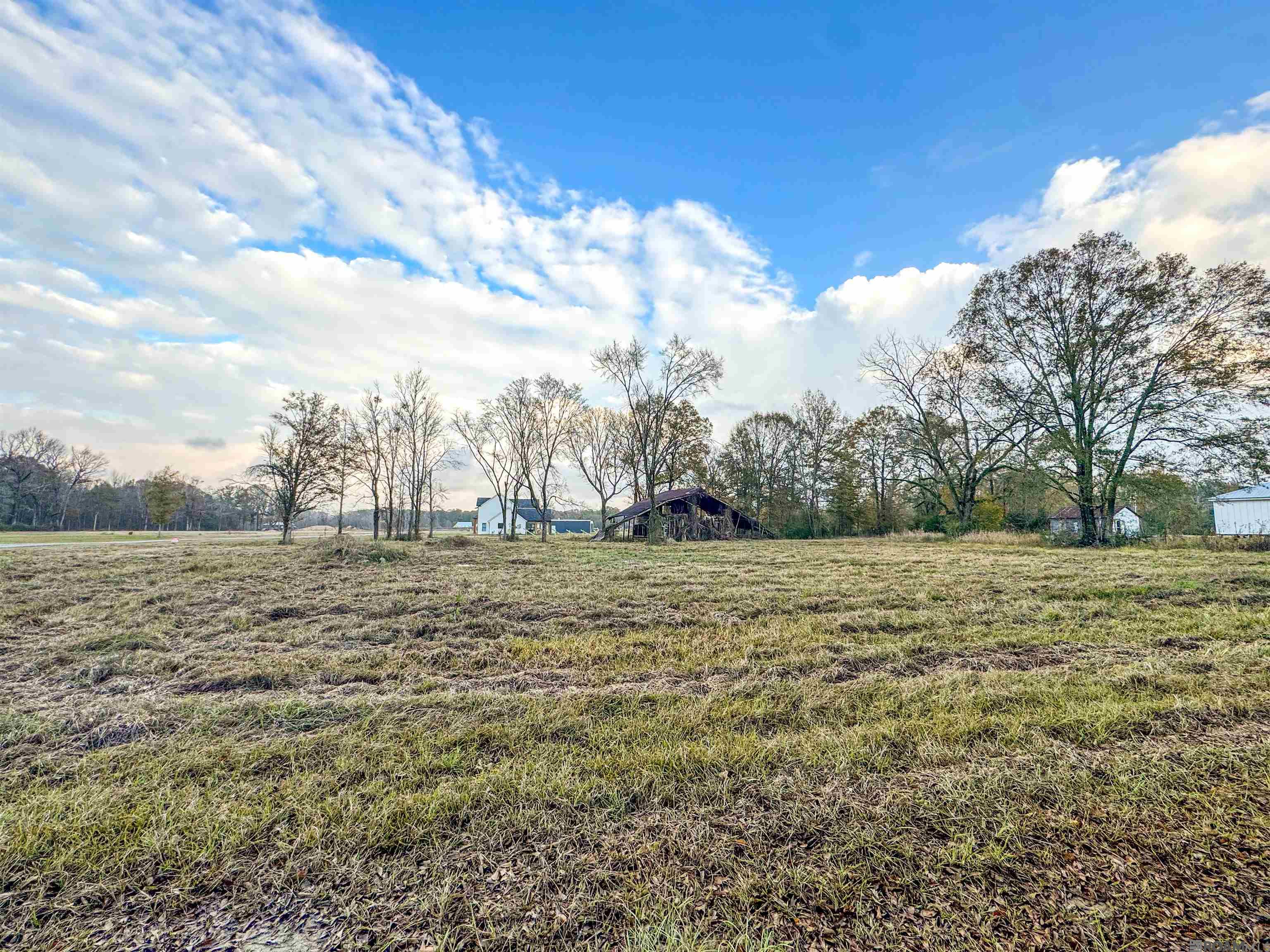 Lot 8 Honey Grove, Livingston, LA, 70754