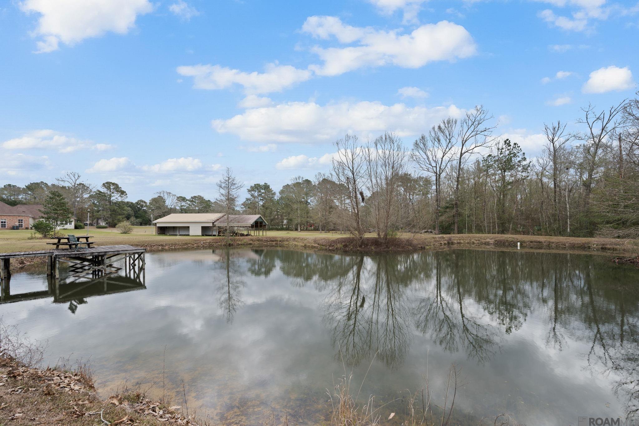 17916 Villa Trace Ave, Greenwell Springs, LA, 70739