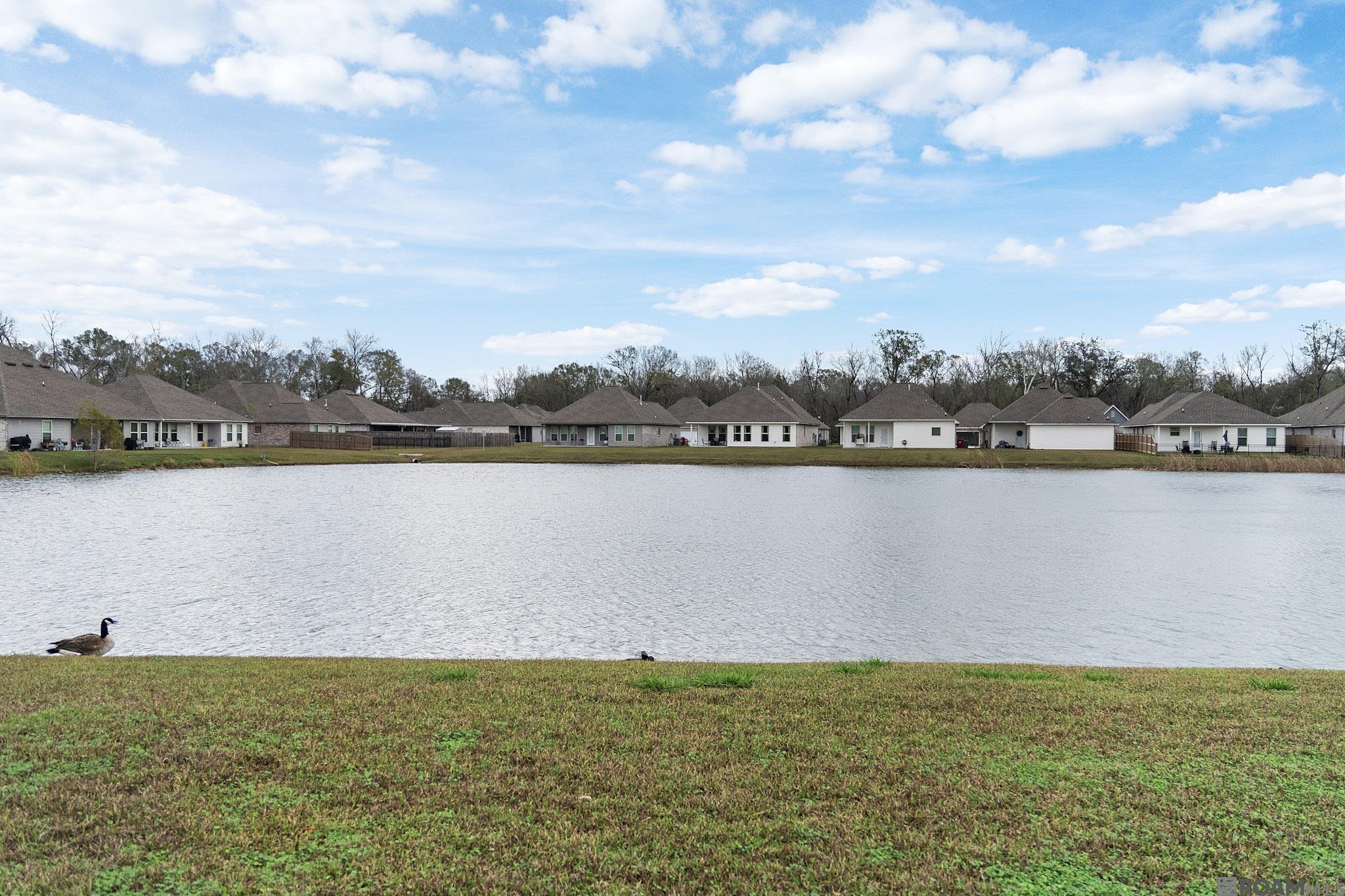 8256 Sweetgum Dr, Gonzales, LA, 70737