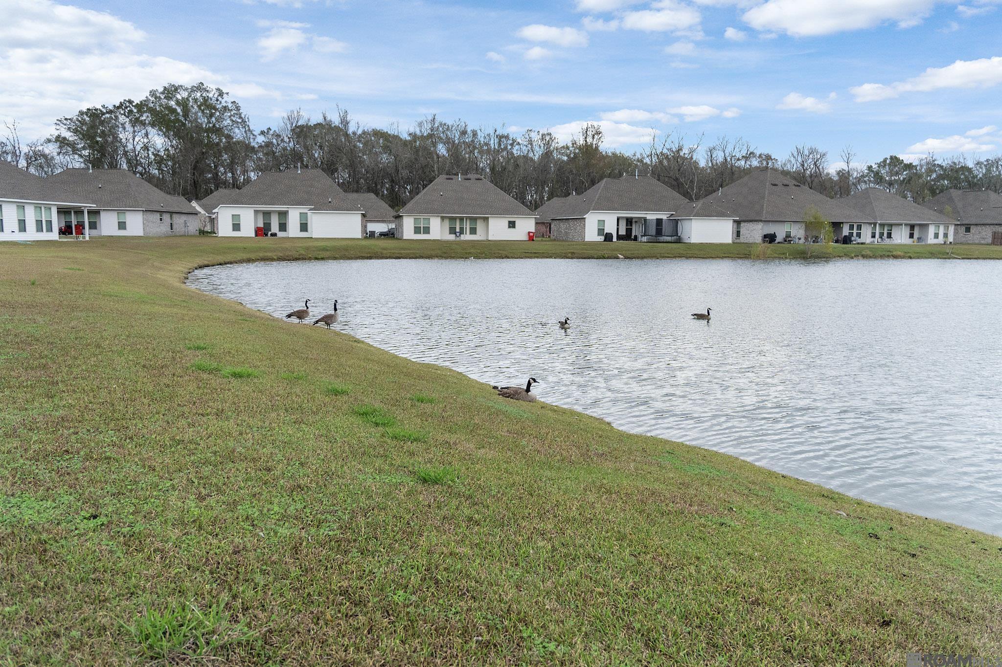 8256 Sweetgum Dr, Gonzales, LA, 70737