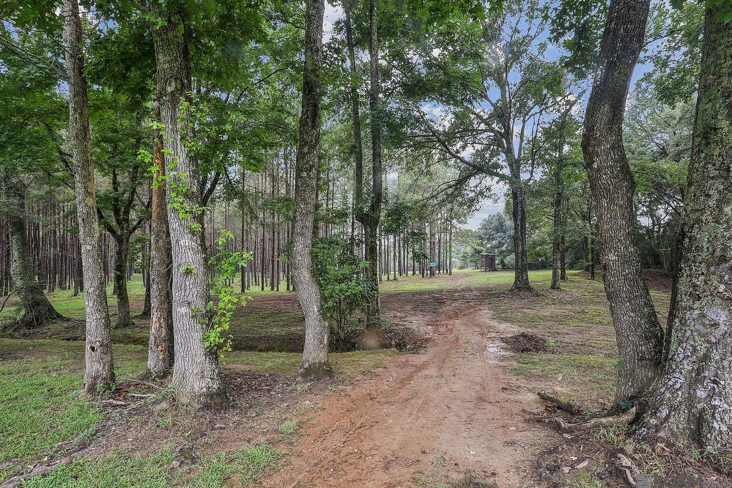 5585 La Hwy 966, St Francisville, LA, 70775