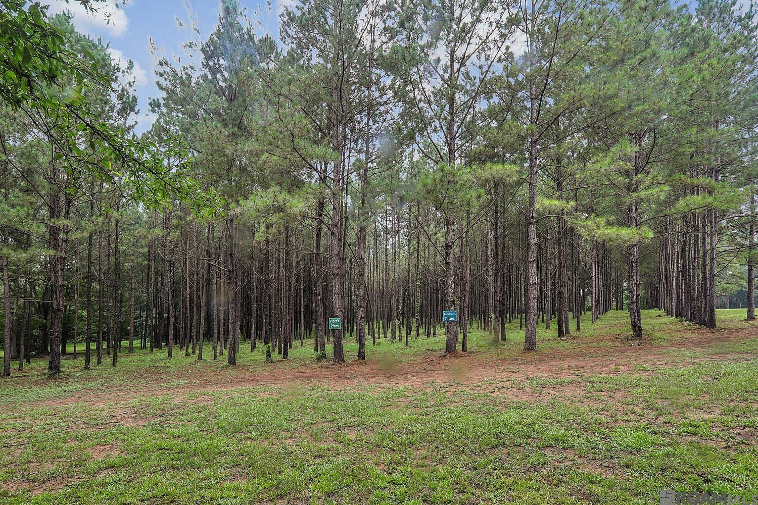 5585 La Hwy 966, St Francisville, LA, 70775