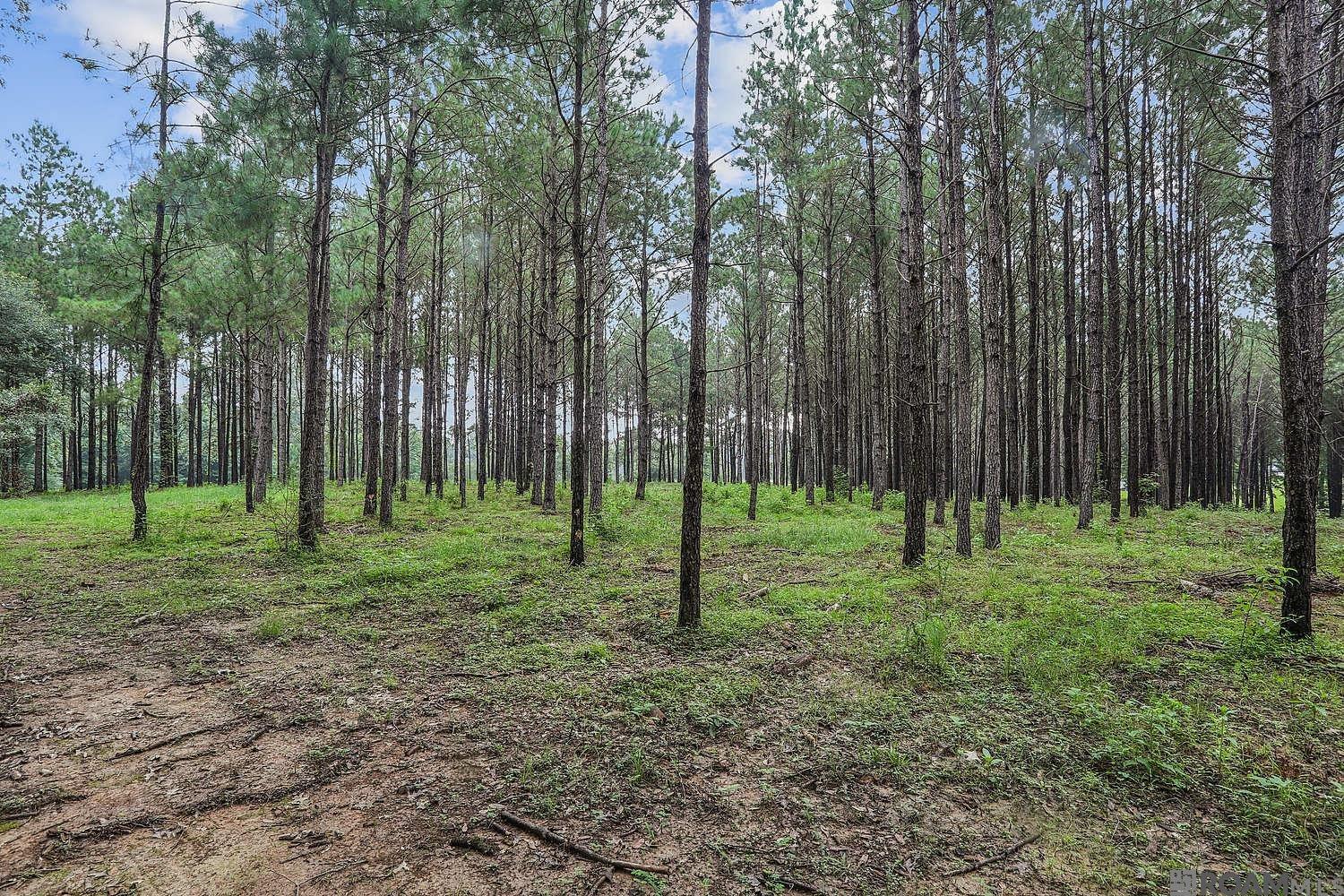 5585 La Hwy 966, St Francisville, LA, 70775