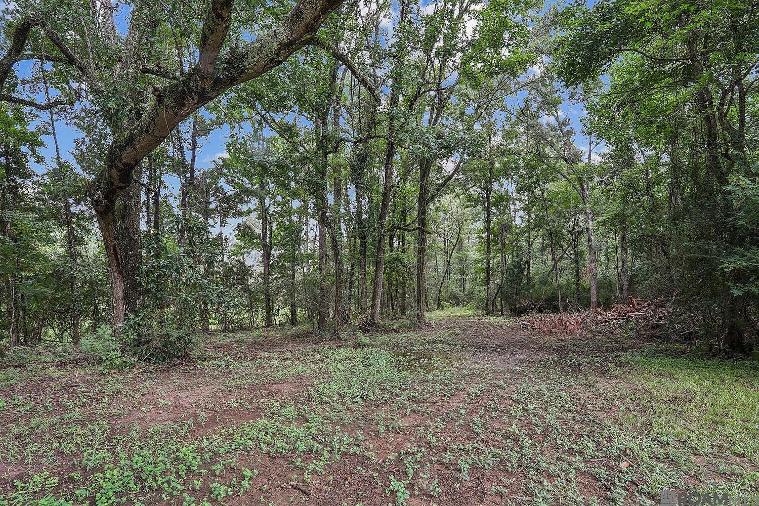 5585 La Hwy 966, St Francisville, LA, 70775