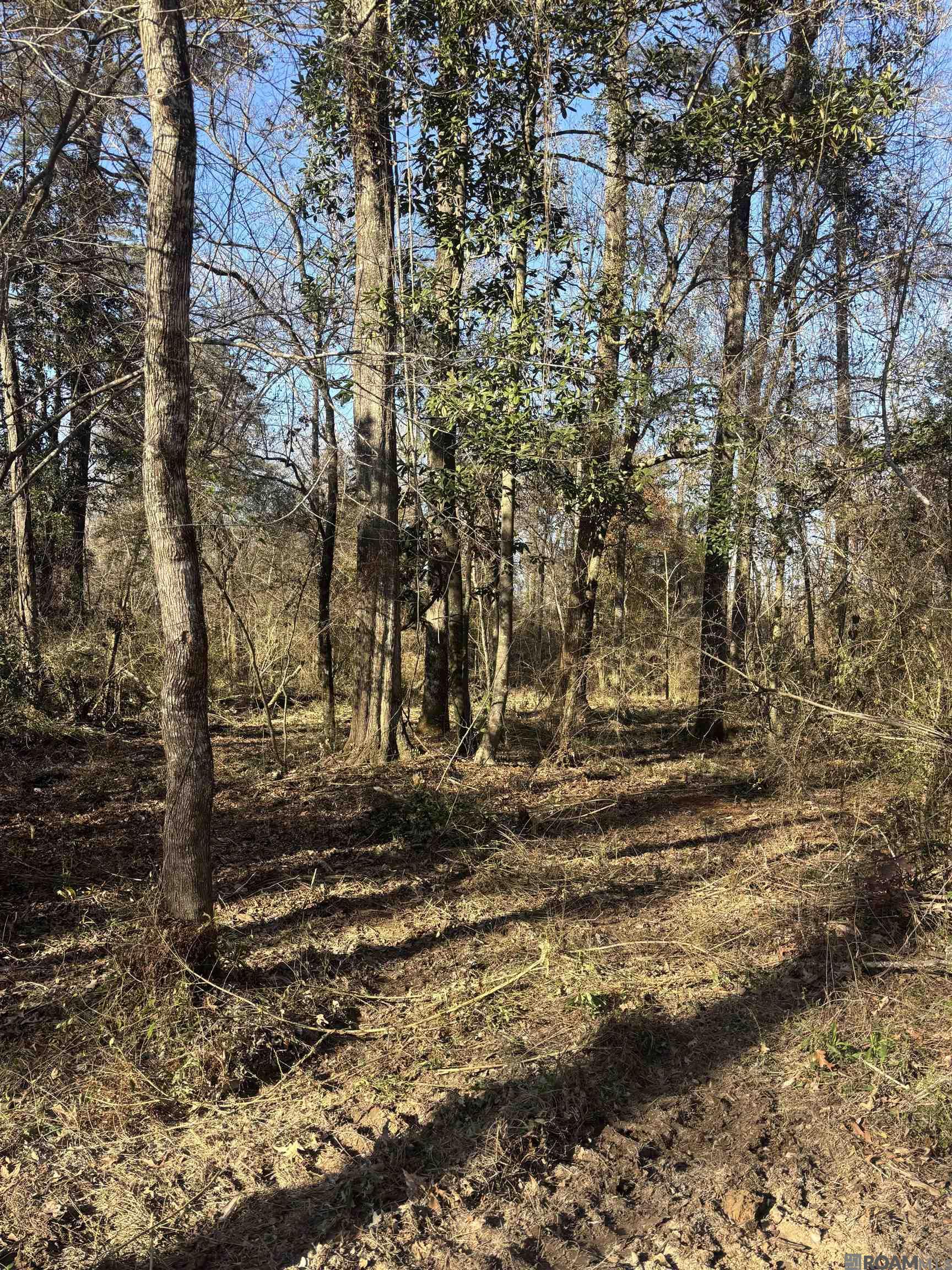 Lot 1 Livingston Farms Lane, Livingston, LA, 70754