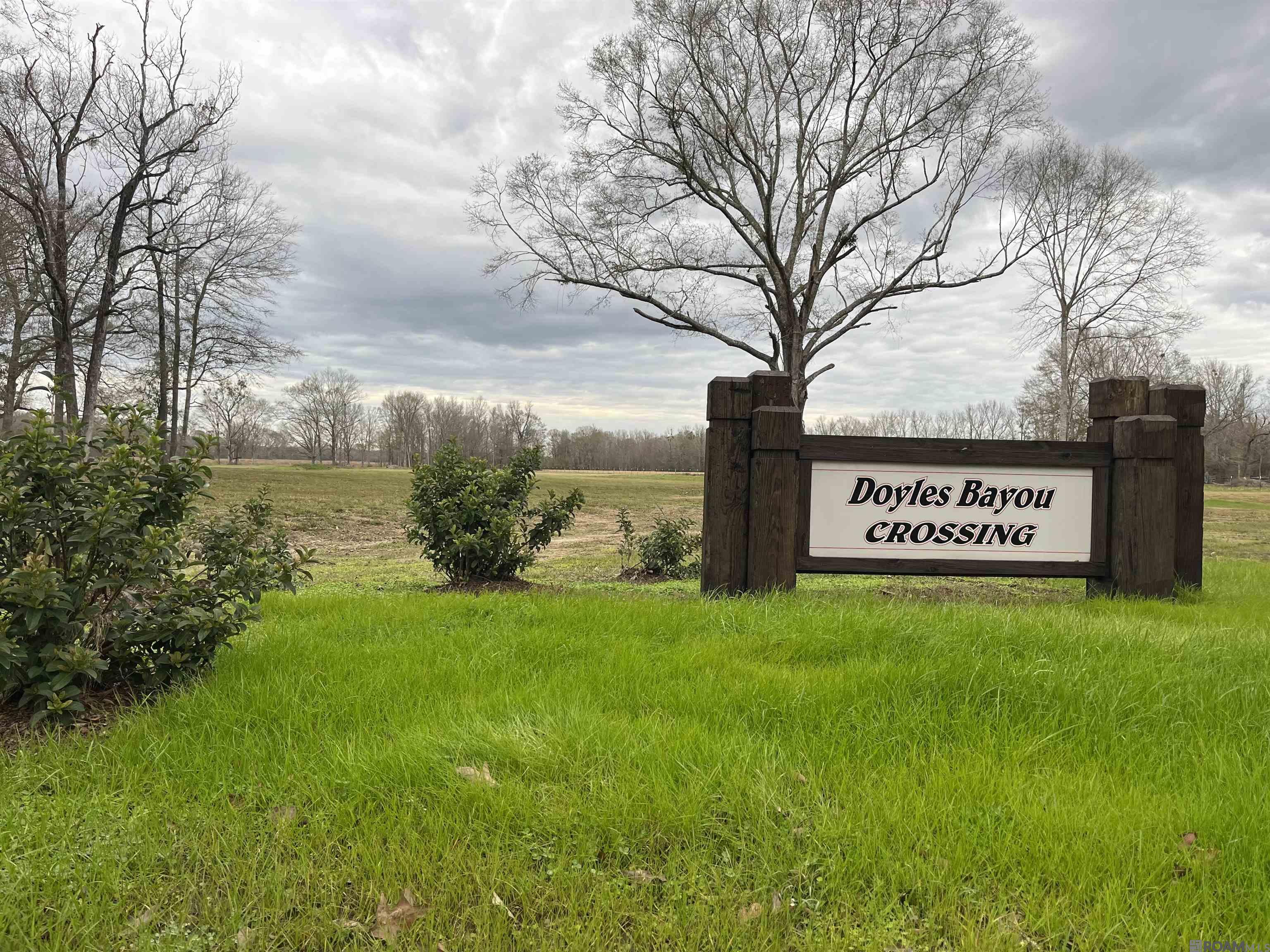 Lemon Rd, Slaughter, LA, 70777