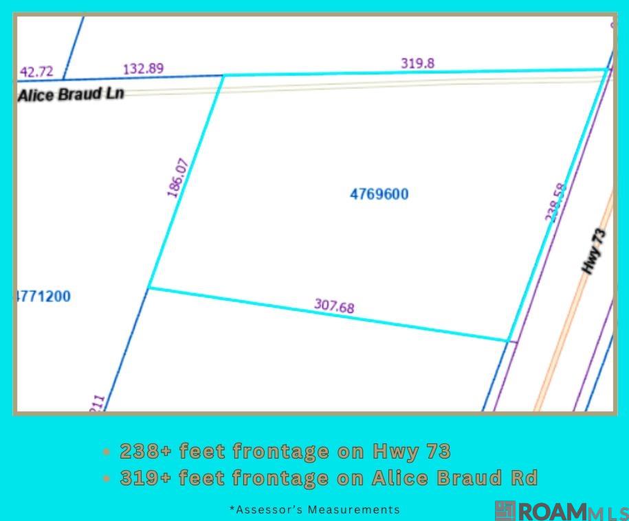 15485 La Hwy 73, Prairieville, LA, 70769