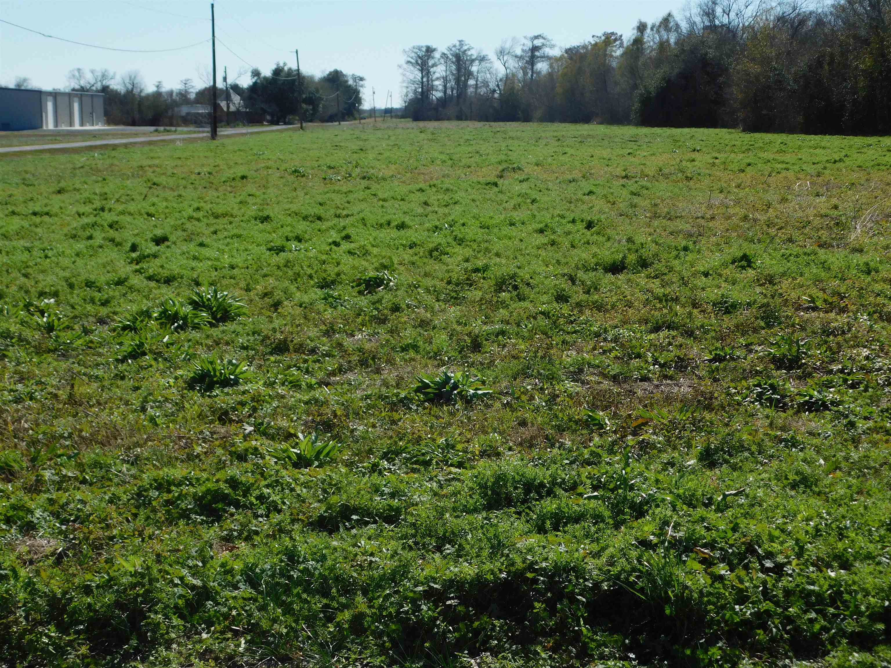 TBD Adam Boulevard, Larose, LA, 70373