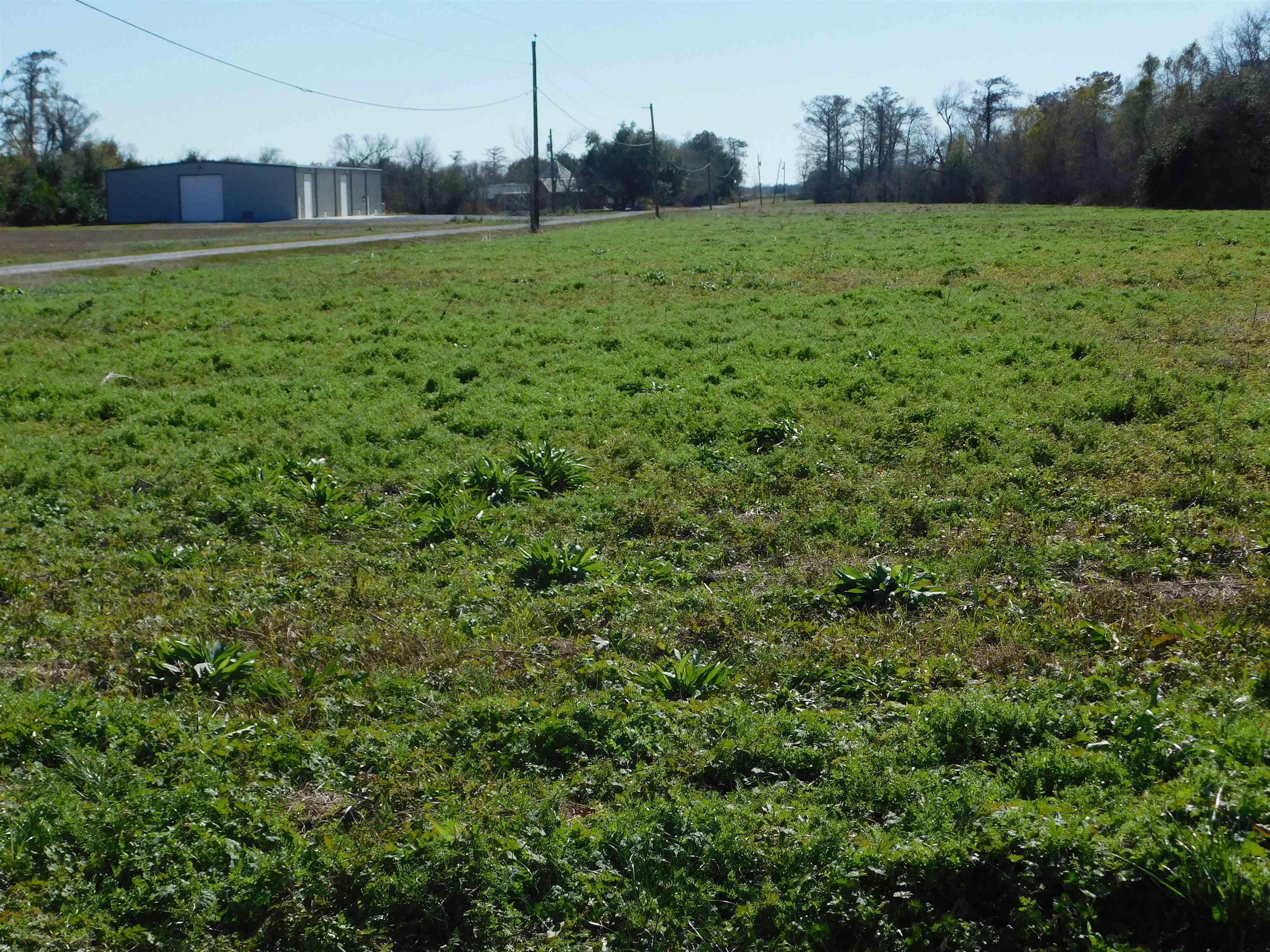 TBD Adam Boulevard, Larose, LA, 70373