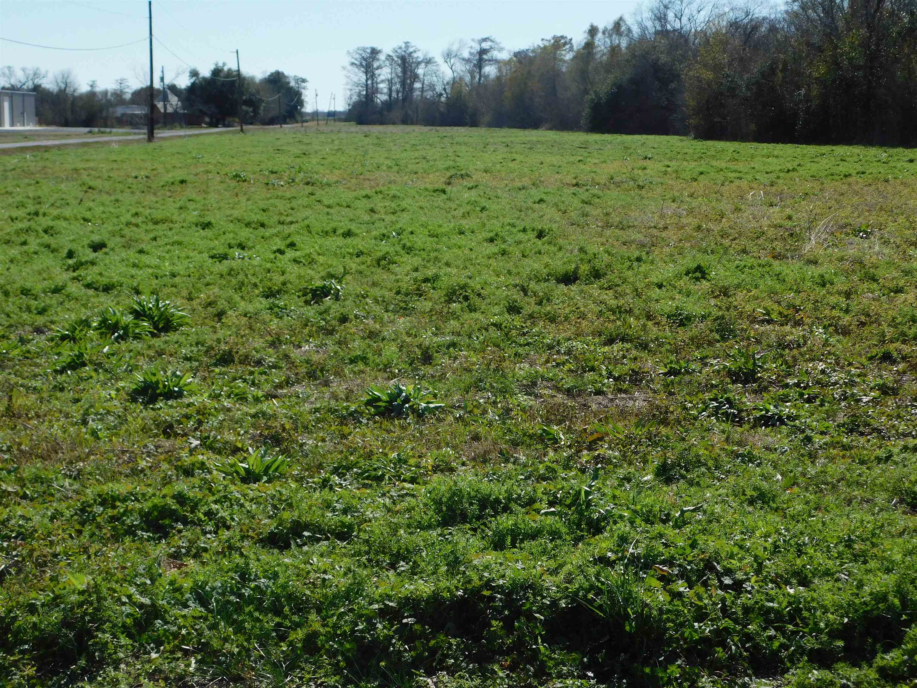 TBD Adam Boulevard, Larose, LA, 70373