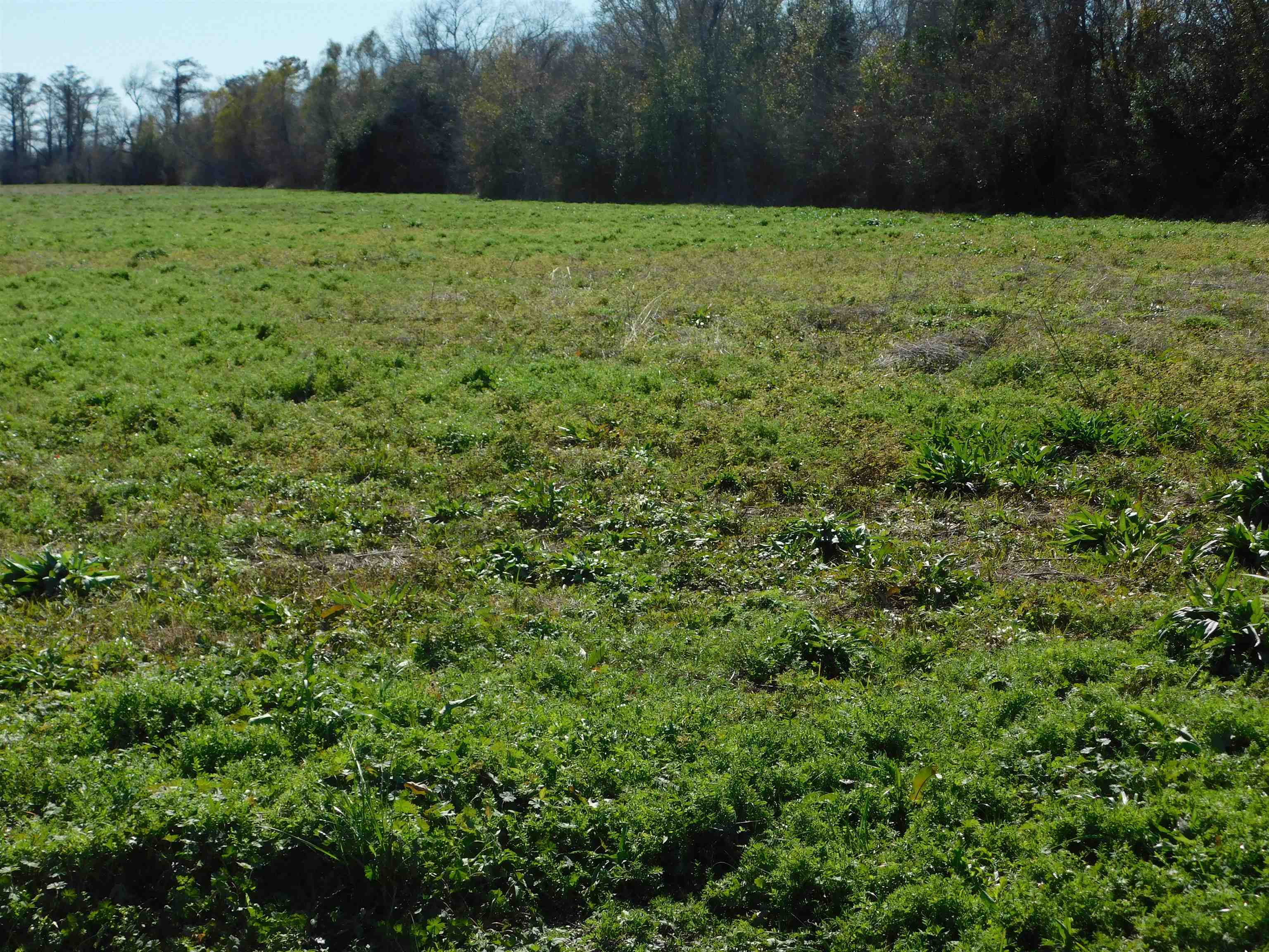 TBD Adam Boulevard, Larose, LA, 70373