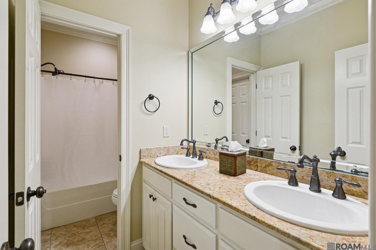 12484 Legacy Hills Dr, Geismar, LA, 70734