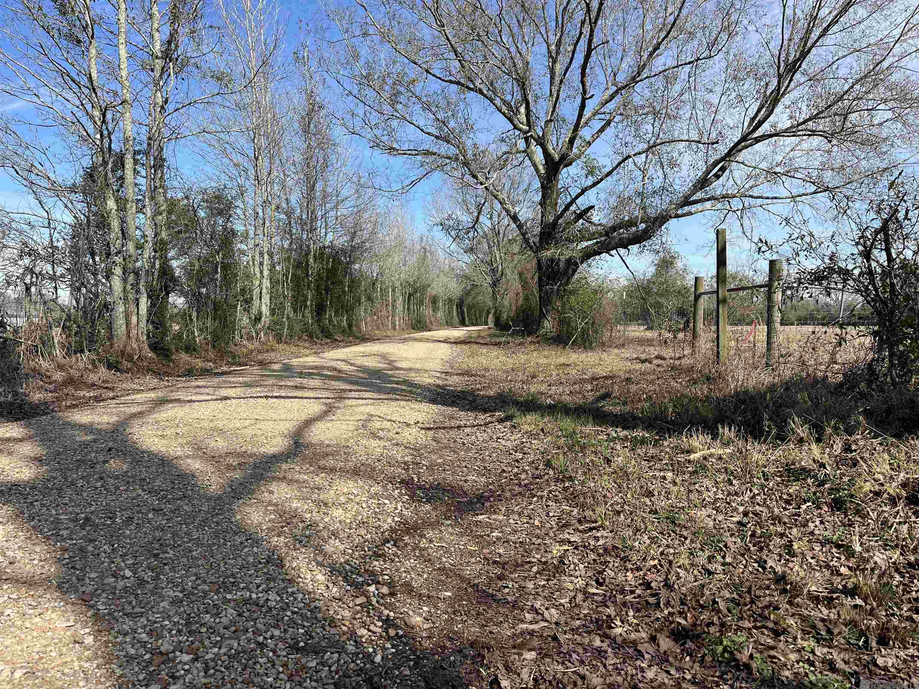 Dougherty Ln, Slaughter, LA, 70748