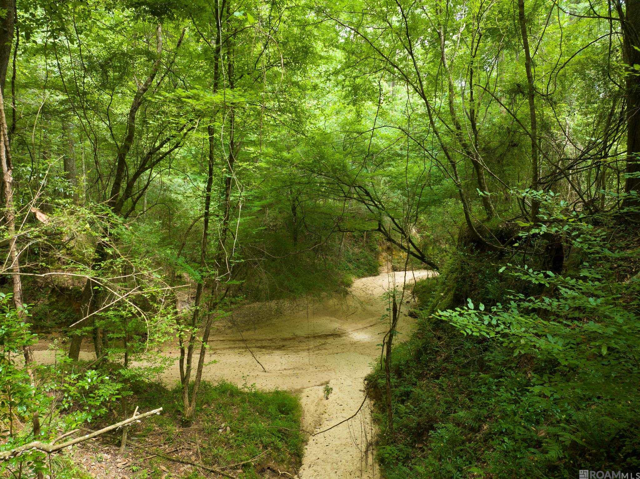 7312,26,40 Stirling Rd, St Francisville, LA, 70775