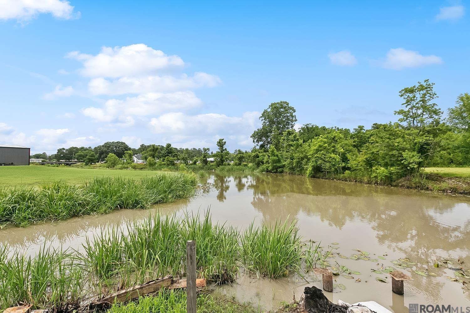 11177 Toria Ln, St Amant, LA, 70774