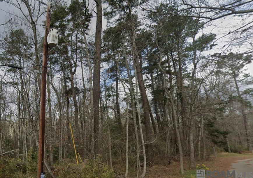 W 79th Street, Cut Off, LA, 70345