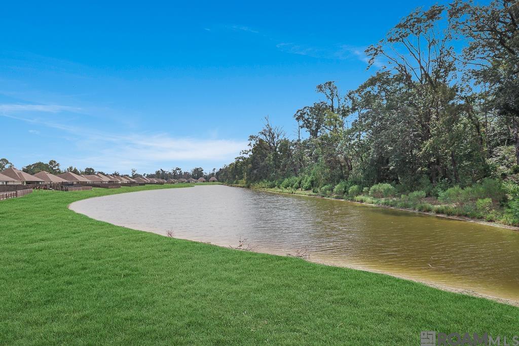 18199 Terraceside Dr, Prairieville, LA, 70769