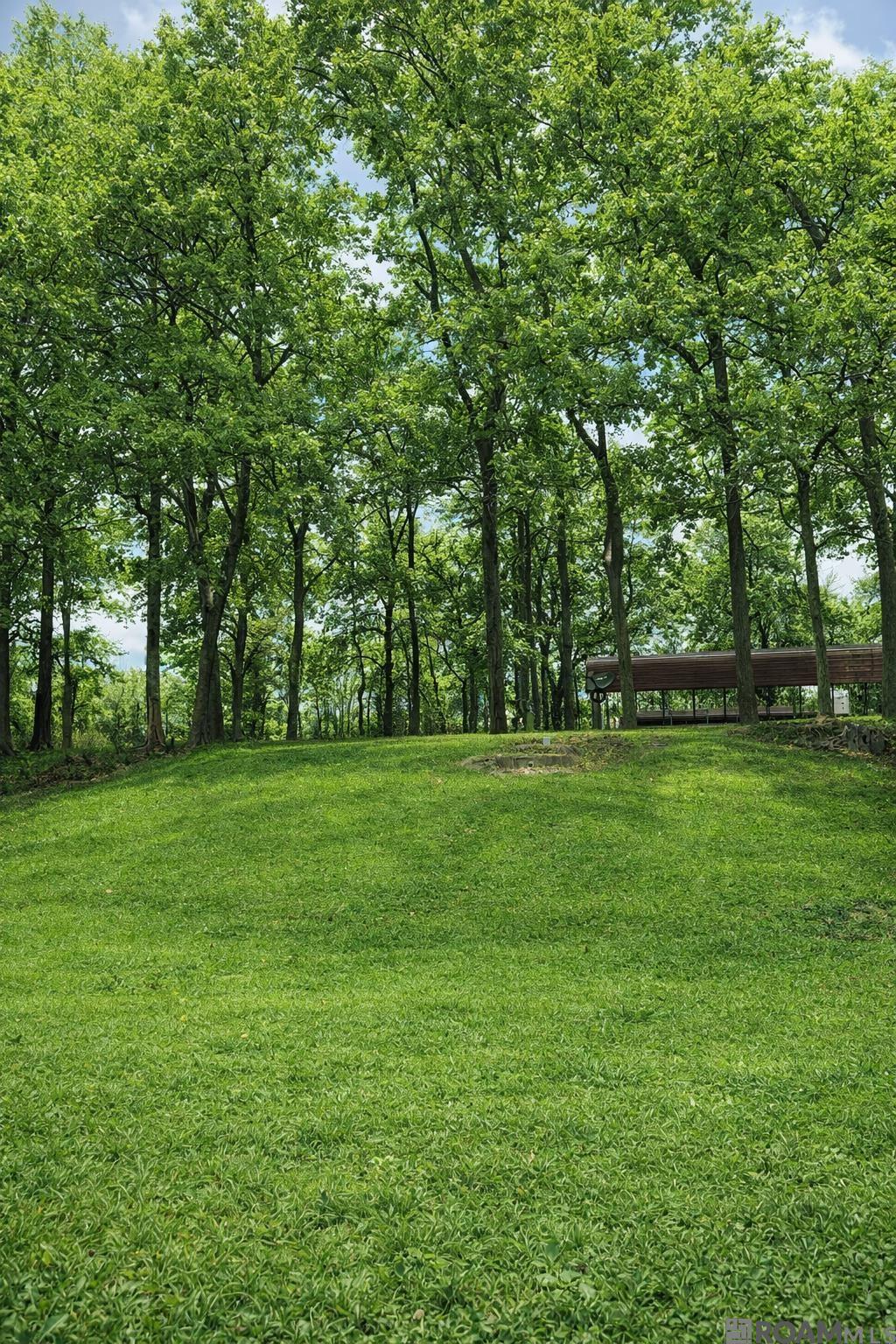 TBD Parhams Rd, Jonesville, LA, 71343