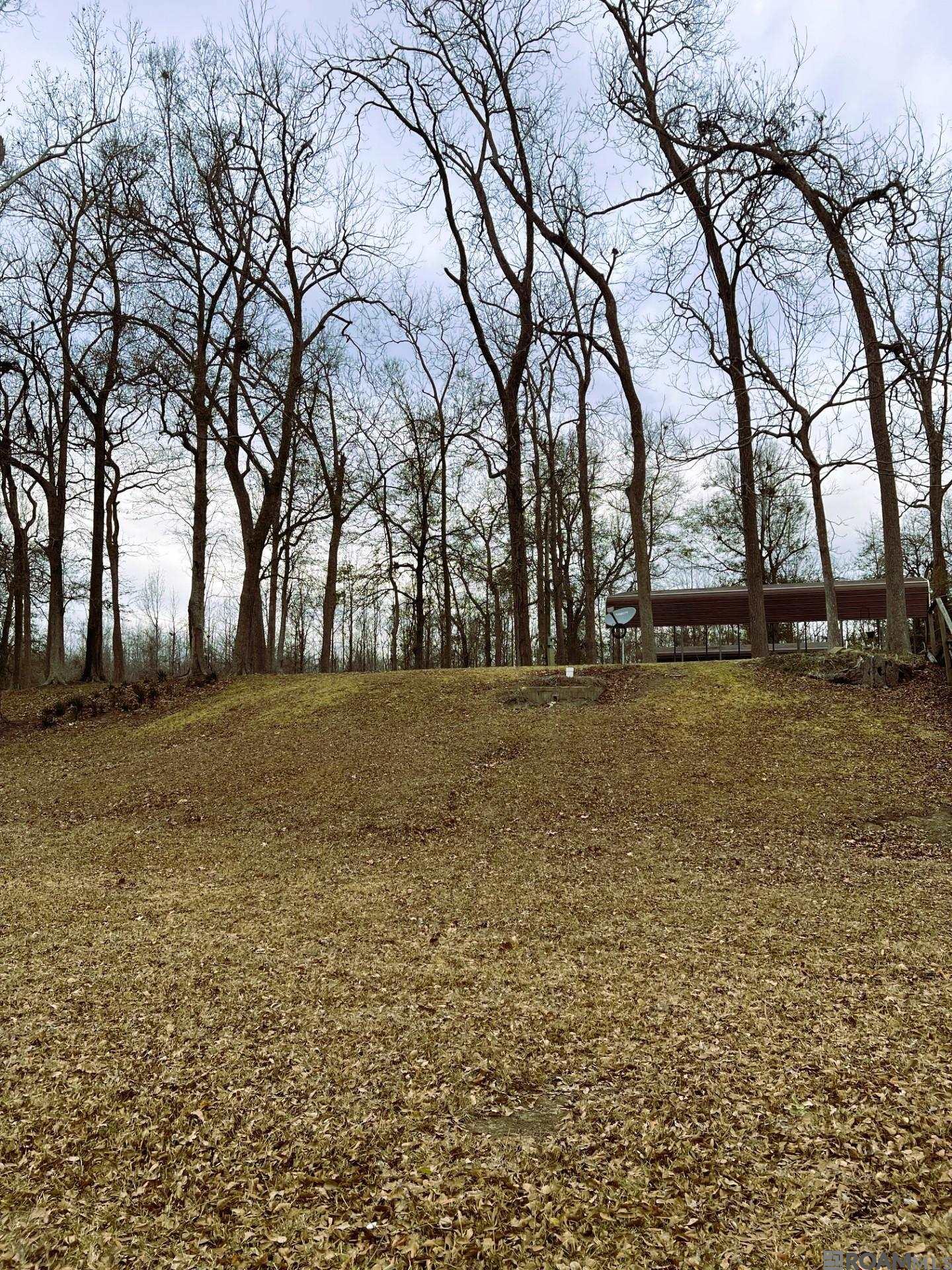 TBD Parhams Rd, Jonesville, LA, 71343