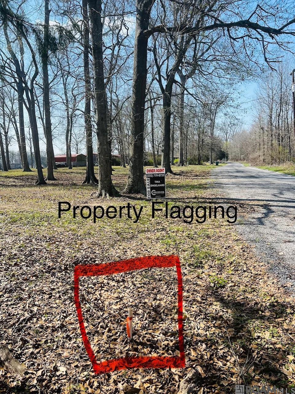 TBD Parhams Rd, Jonesville, LA, 71343