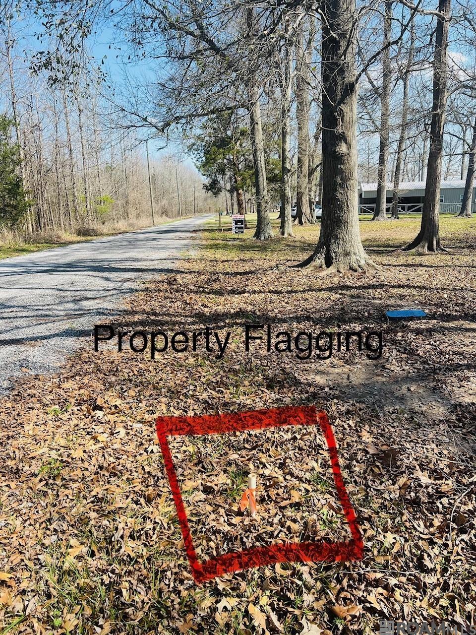 TBD Parhams Rd, Jonesville, LA, 71343