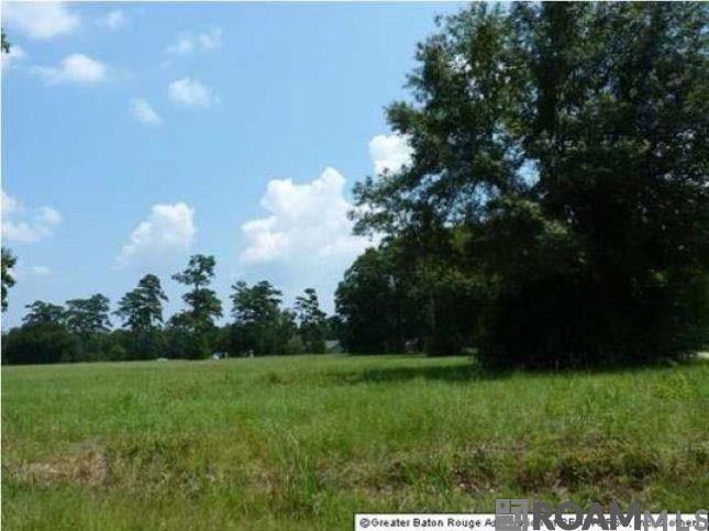 Lot 40 Sagefield Ct, Gonzales, LA, 70737