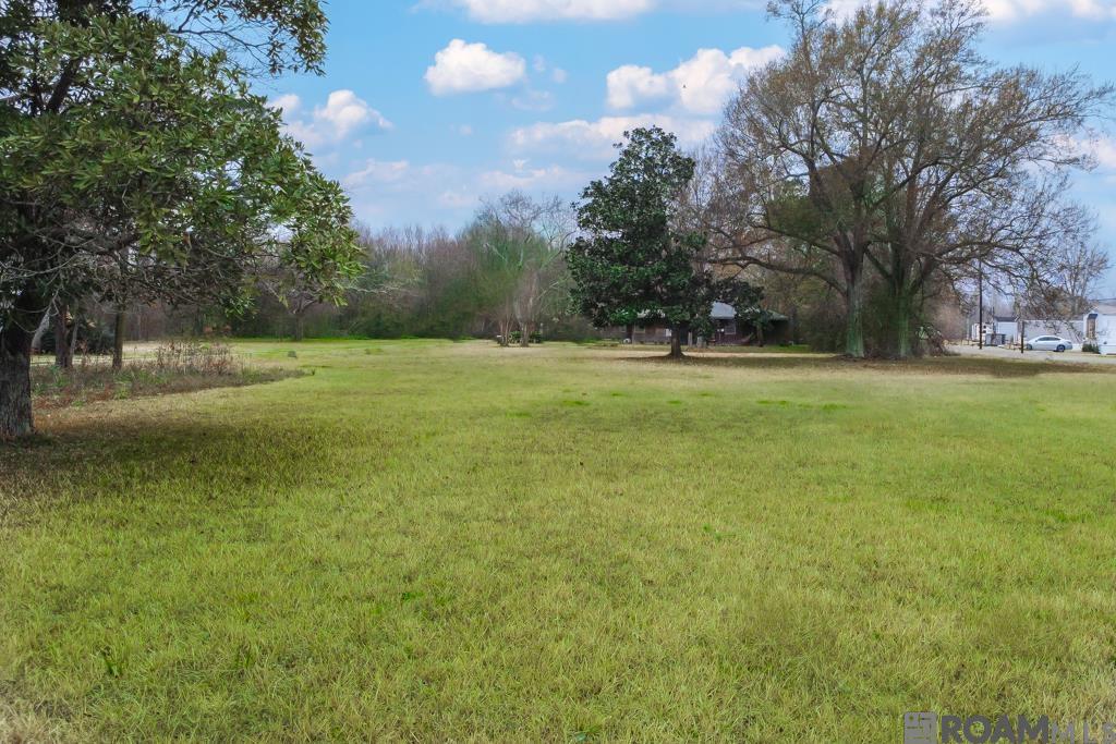 20224 Riverside Rd, Springfield, LA, 70462