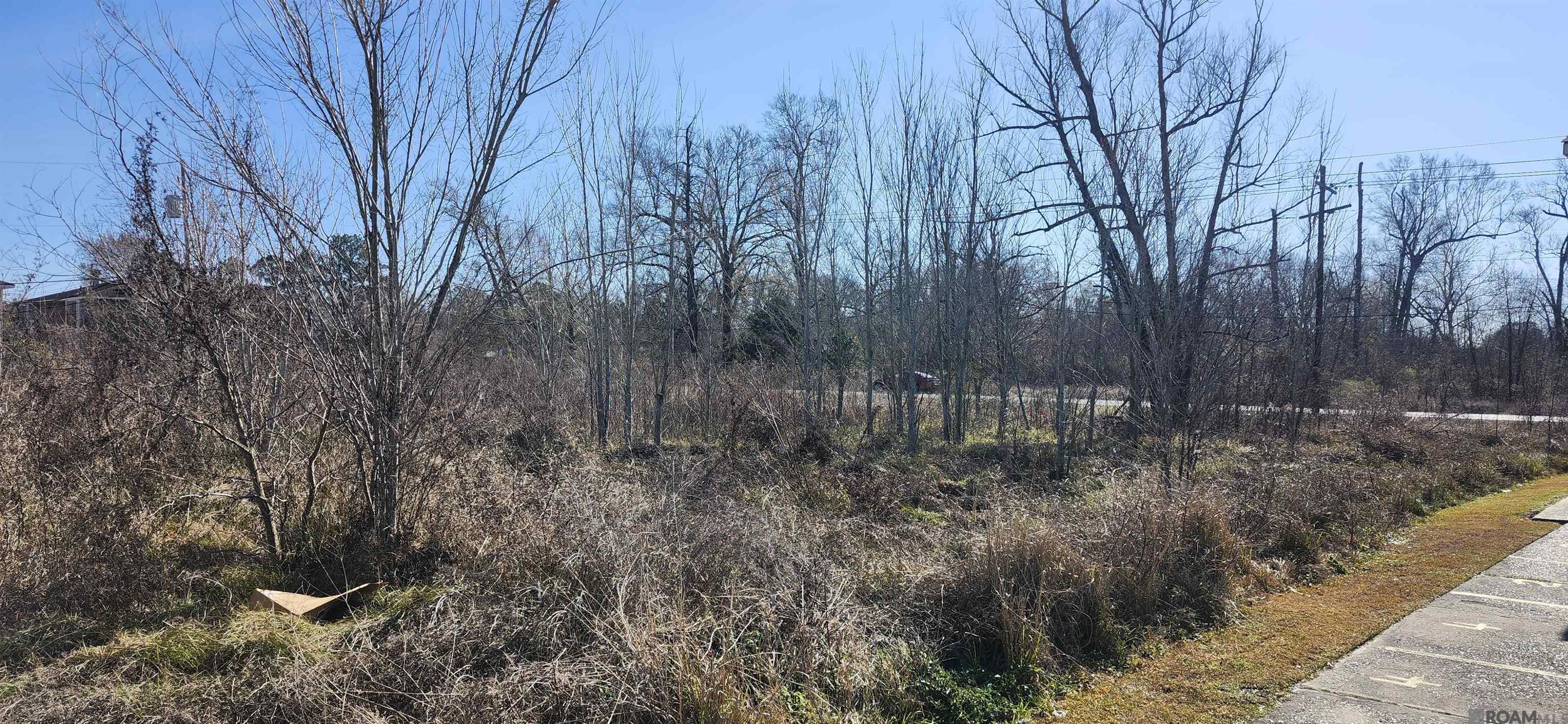 LOT B Perkins Rd, Norwood, LA, 70761