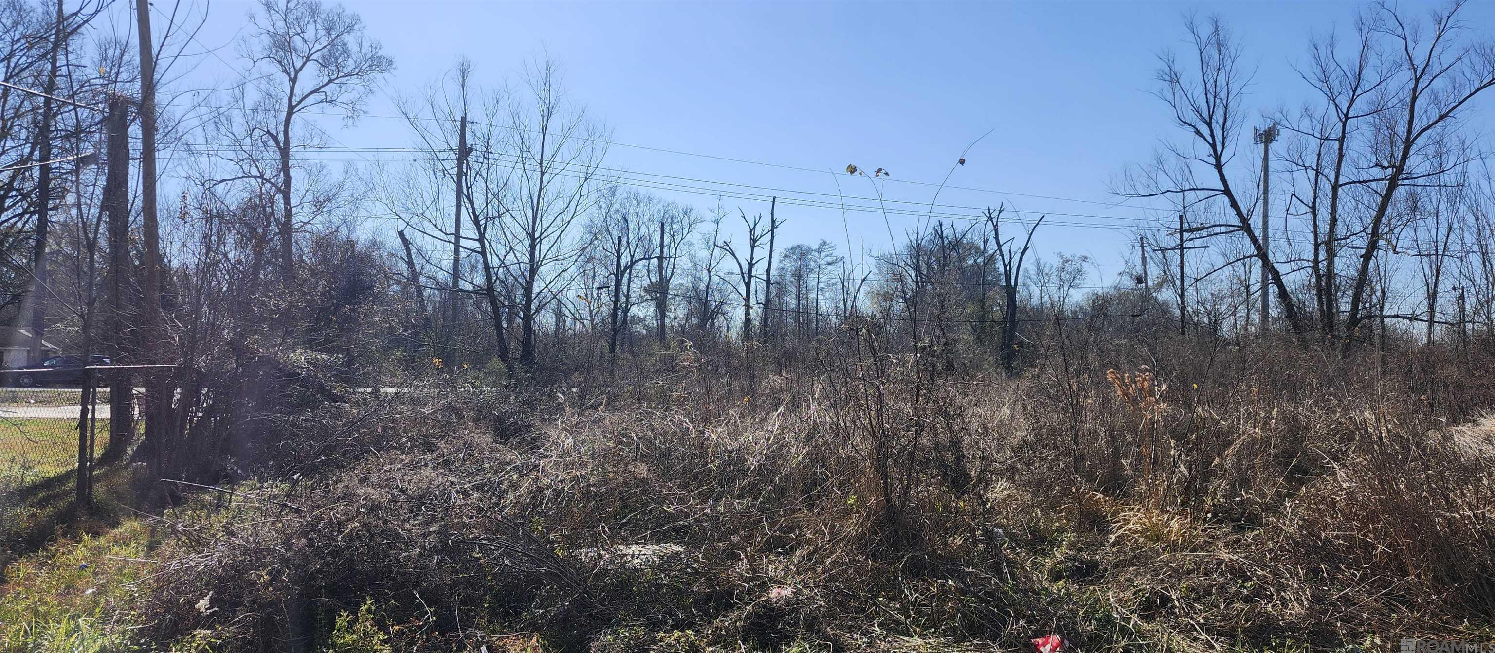 2010 Hemlock St, Baton Rouge, LA, 70802