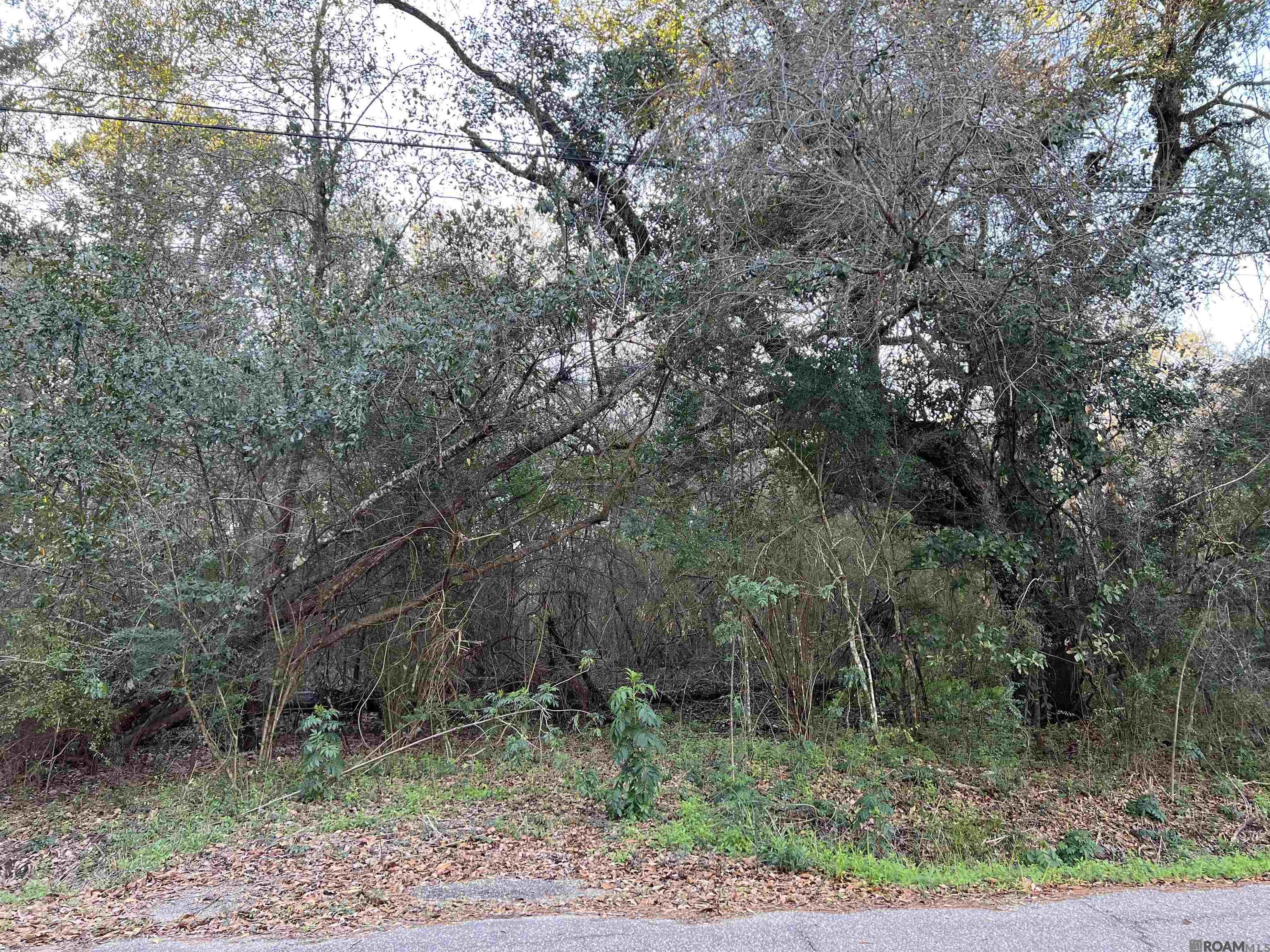 TBA Warrior Dr, Lacombe, LA, 70445