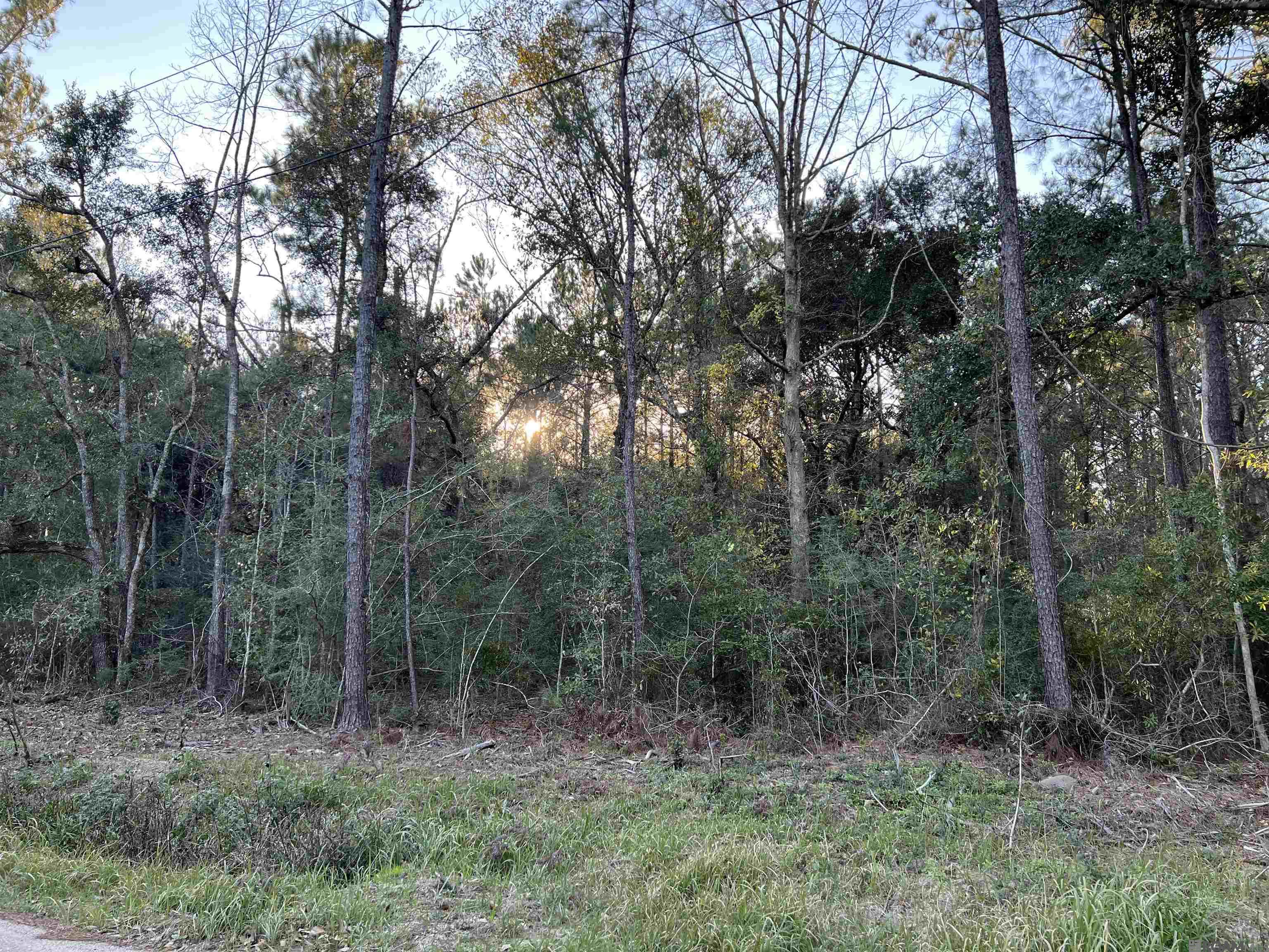 TBA Warrior Dr, Lacombe, LA, 70445