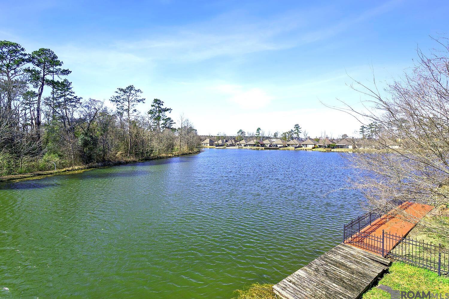 9931 Powell Ln, Denham Springs, LA, 70726