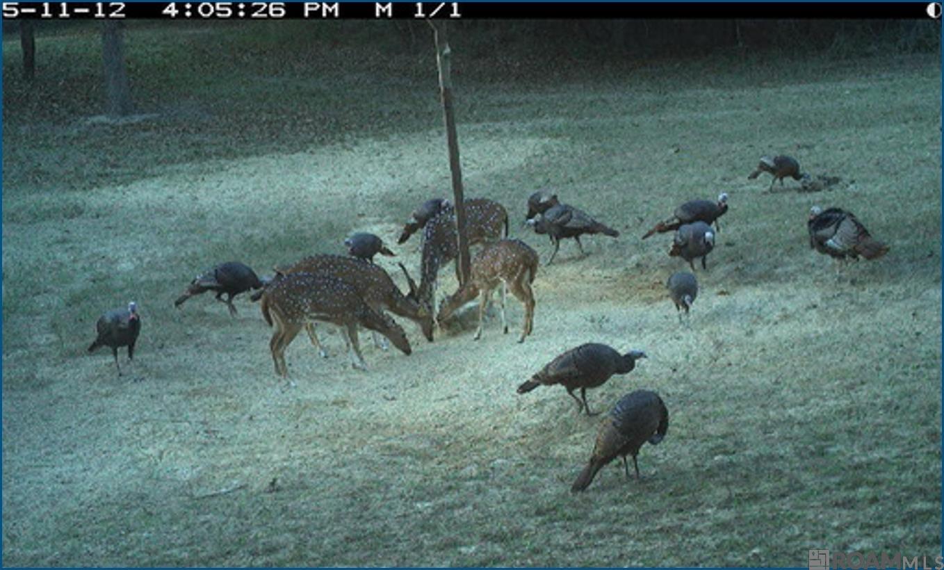 4240 JANA Lane, Kiln, MS, 39556