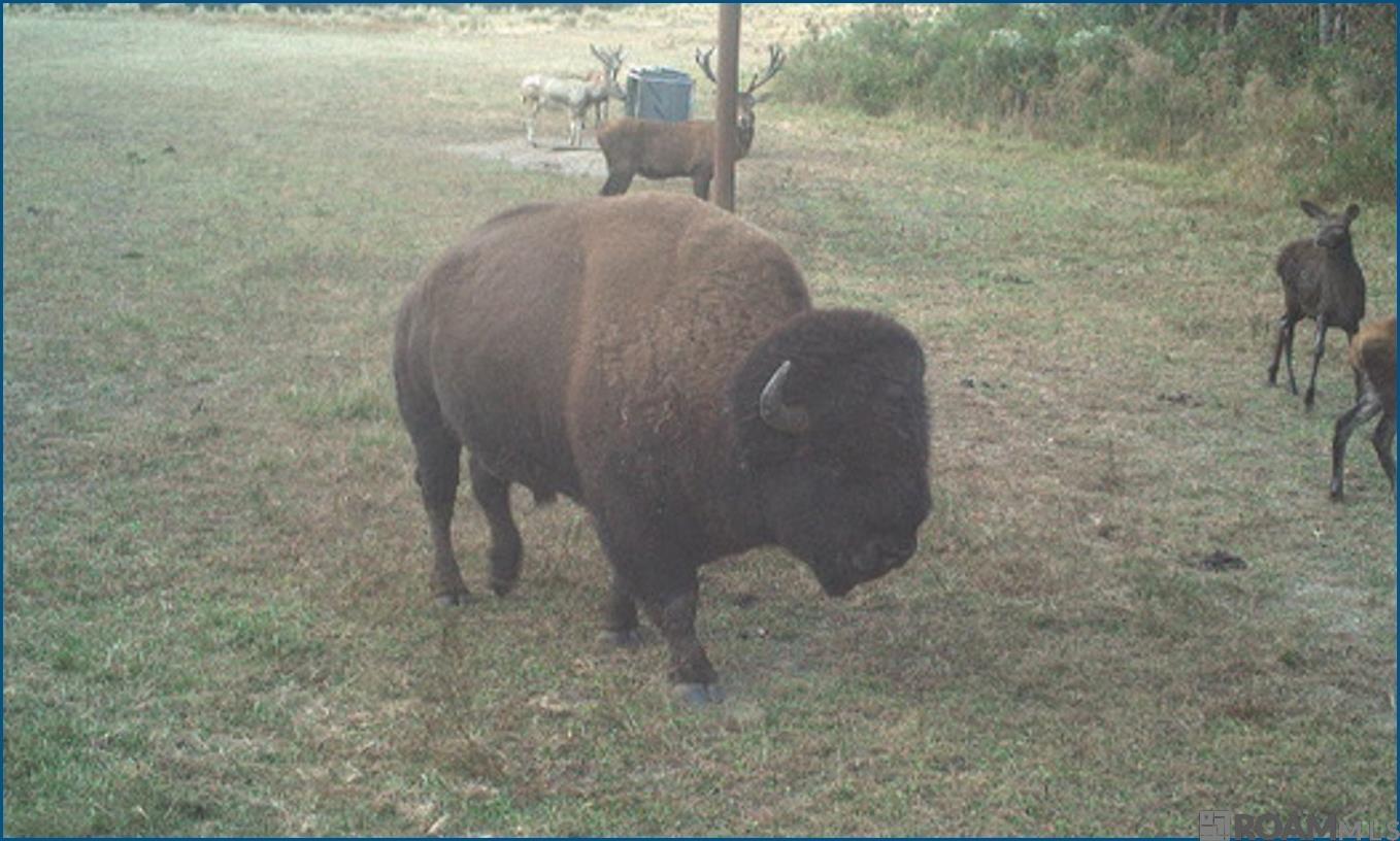 4240 JANA Lane, Kiln, MS, 39556