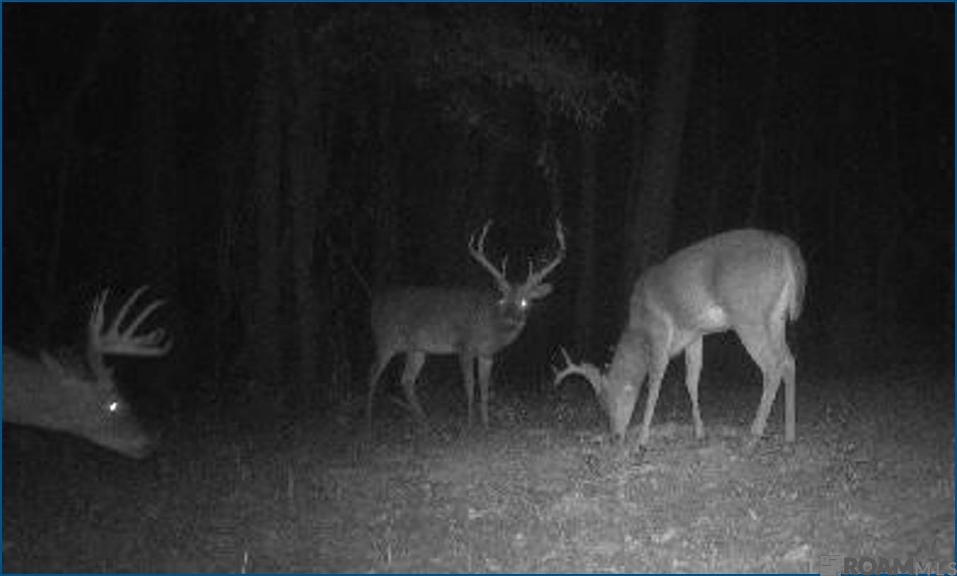 4240 JANA Lane, Kiln, MS, 39556