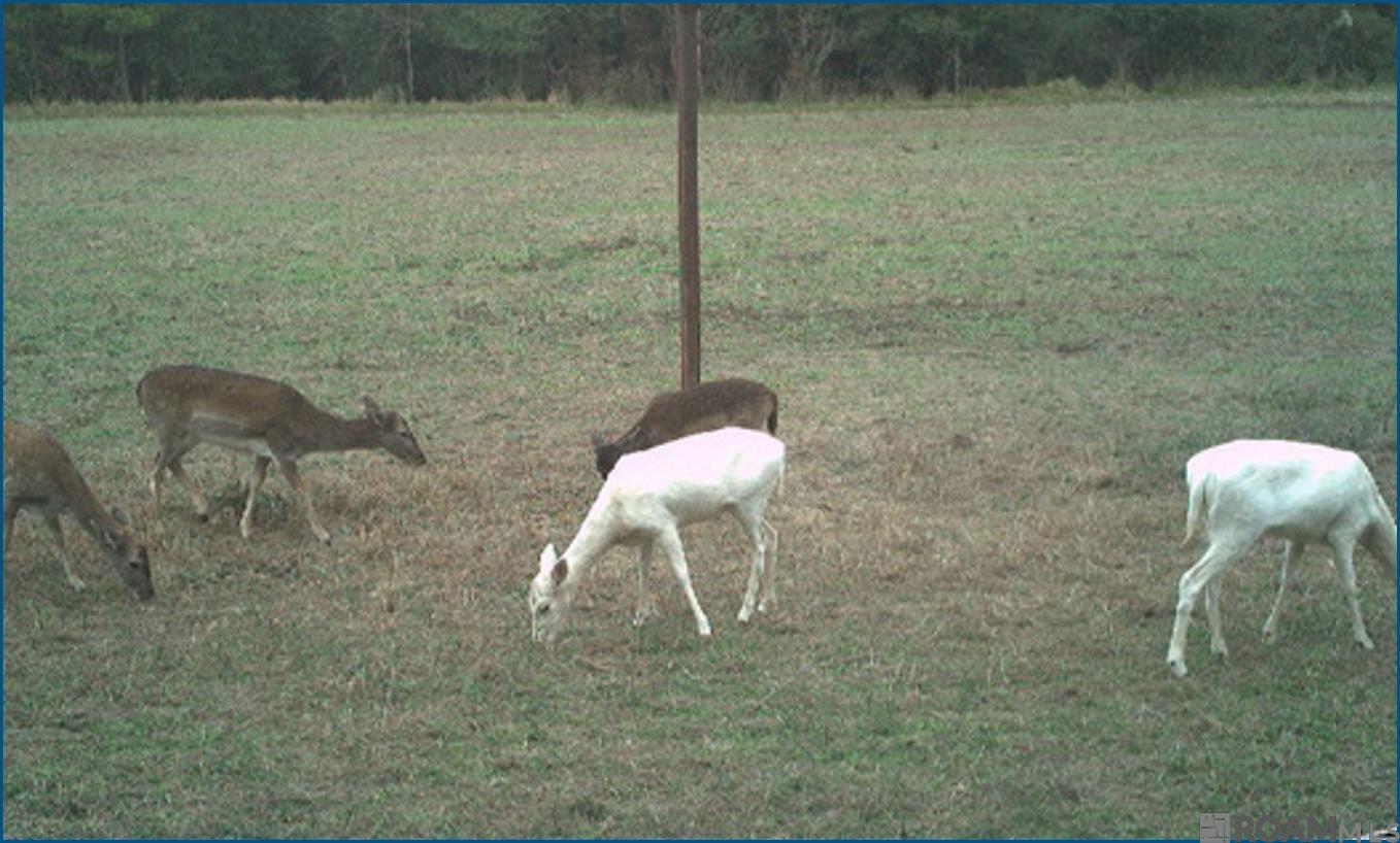 4240 JANA Lane, Kiln, MS, 39556