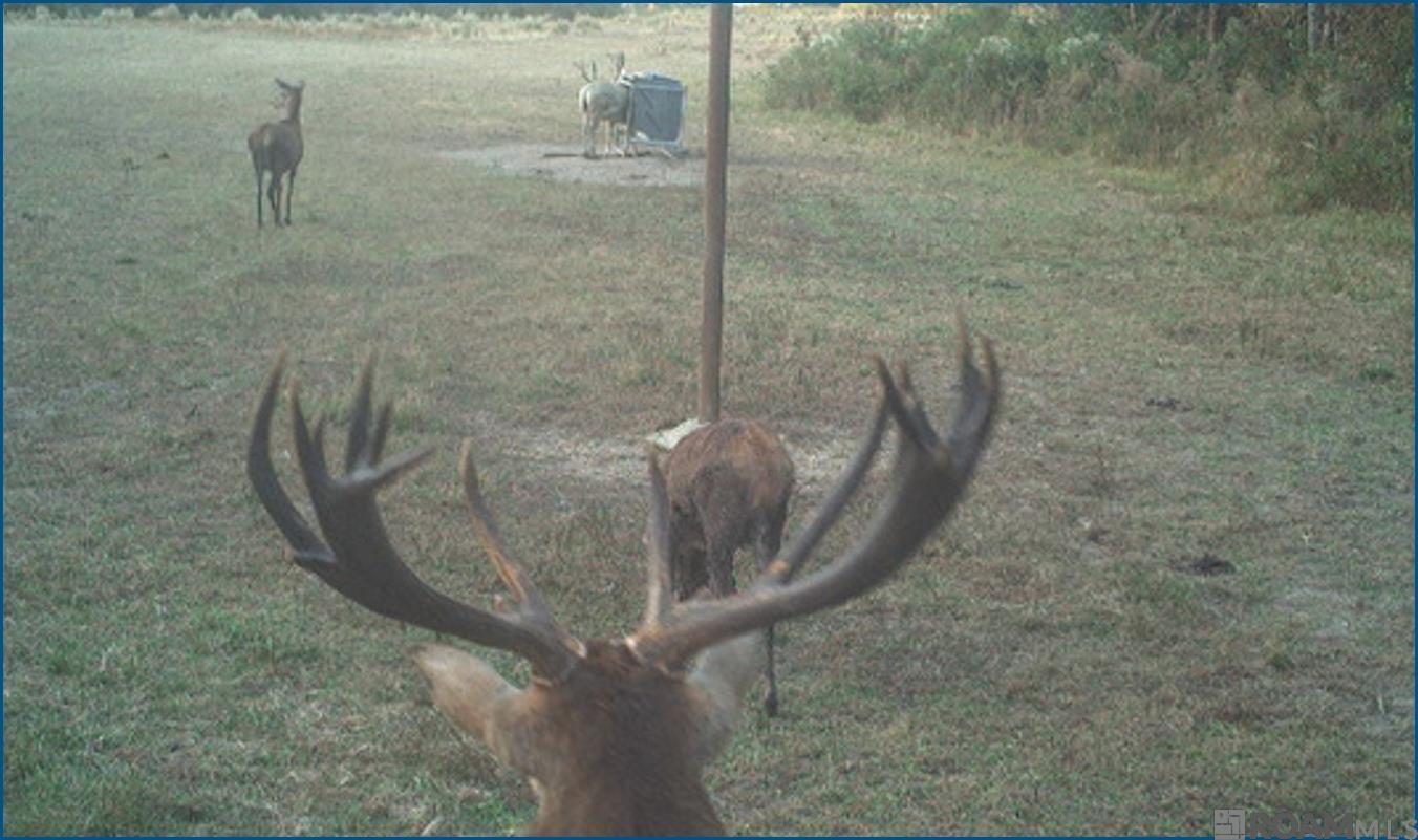 4240 JANA Lane, Kiln, MS, 39556